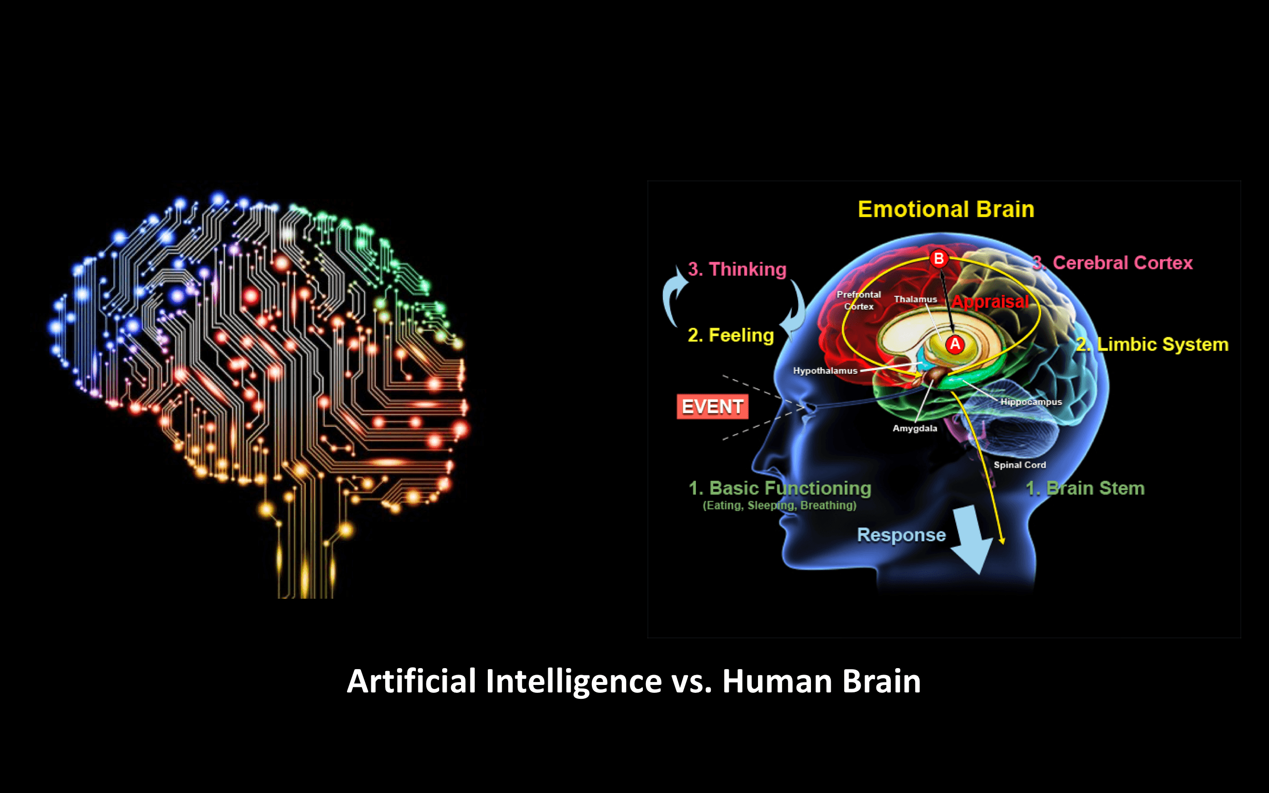 human intelligence wallpaper