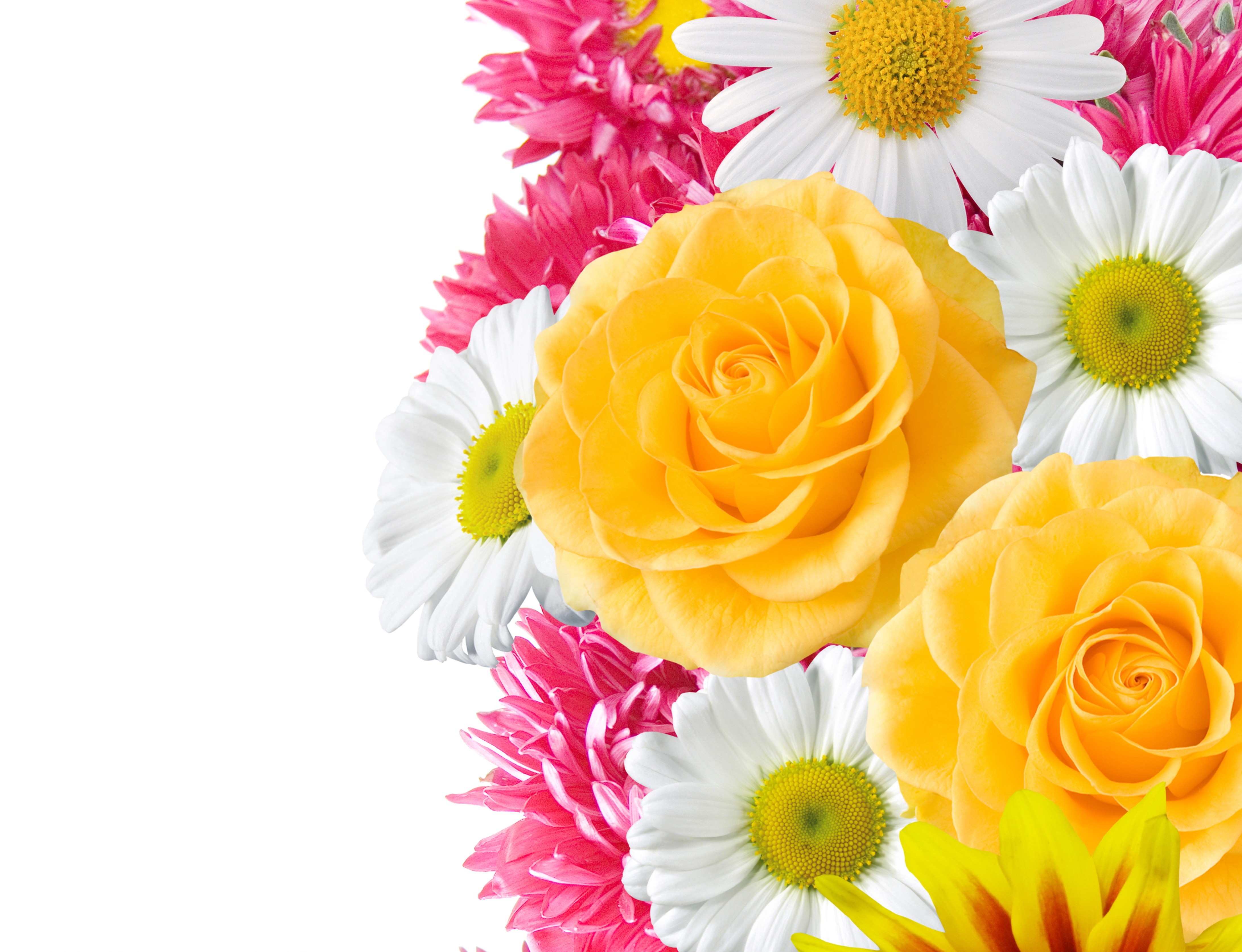 Spring Flowers 4k Ultra HD Wallpaper. Background Image