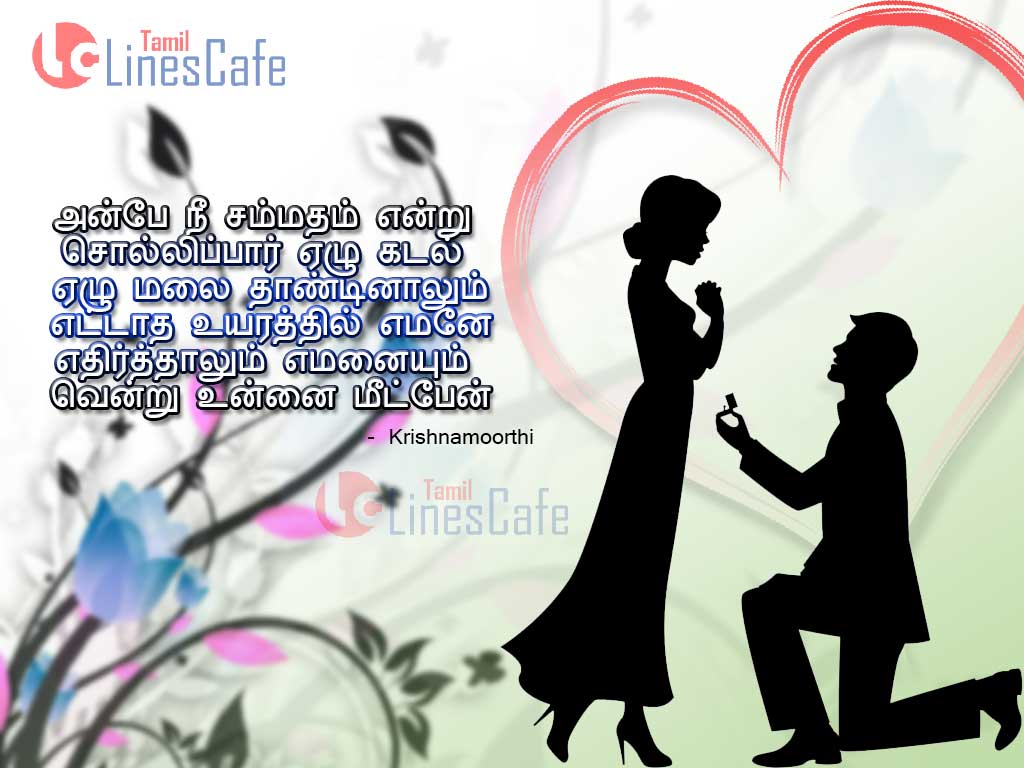 Love Propose Wallpaper HD Day Quotes In Tamil