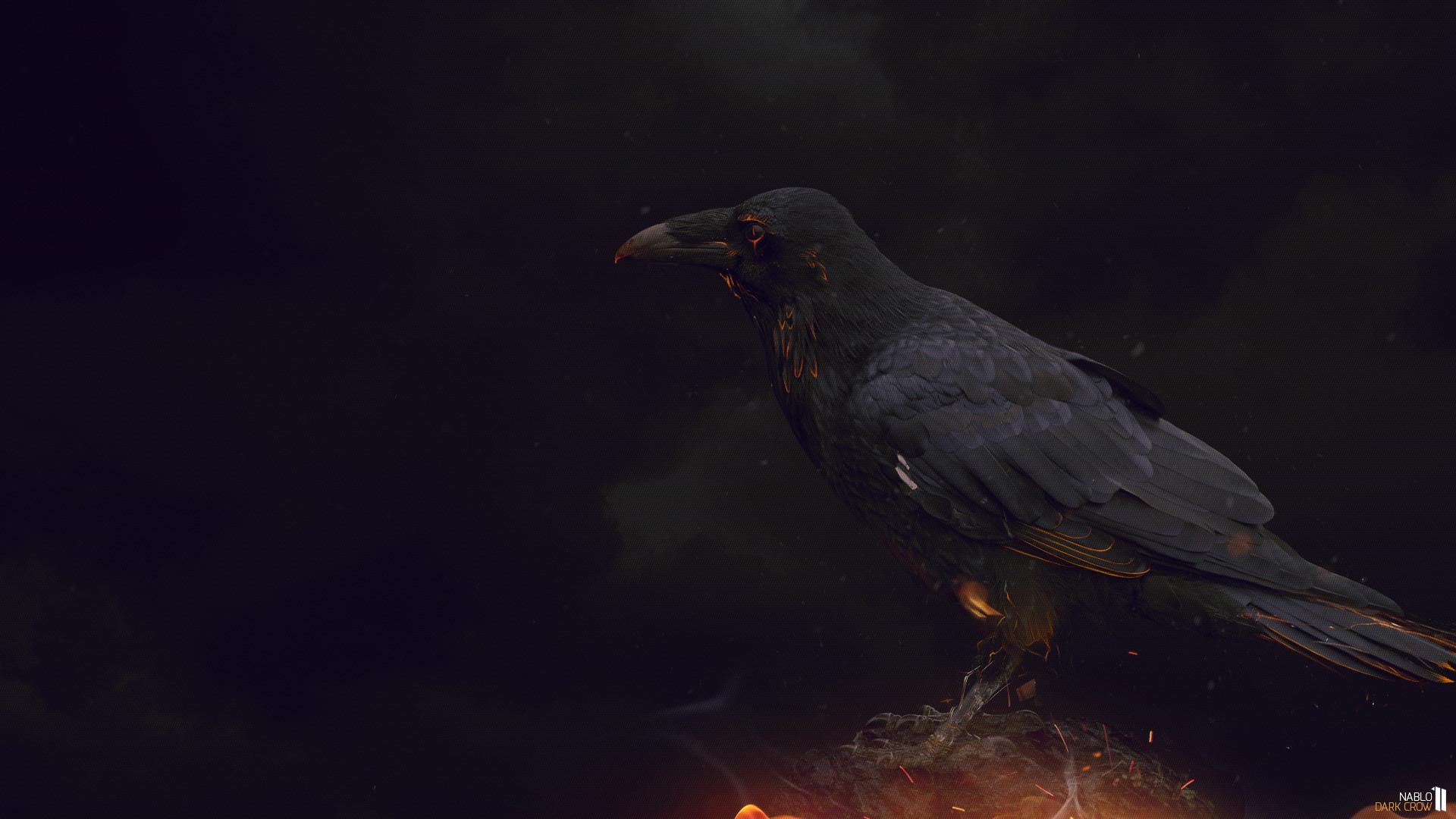 Crow Desktop Wallpaper