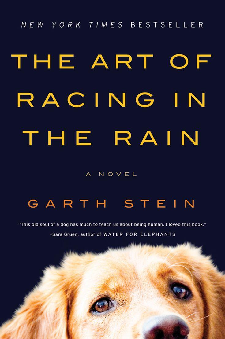 The Art of Racing in the Rain' Movie Adaptation