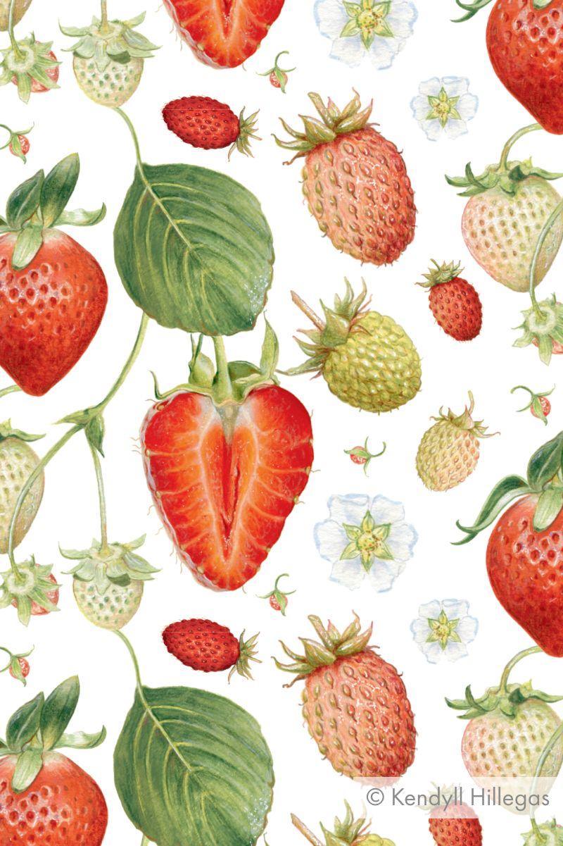 Strawberries, vines, blossoms and leaves in an organic tumble