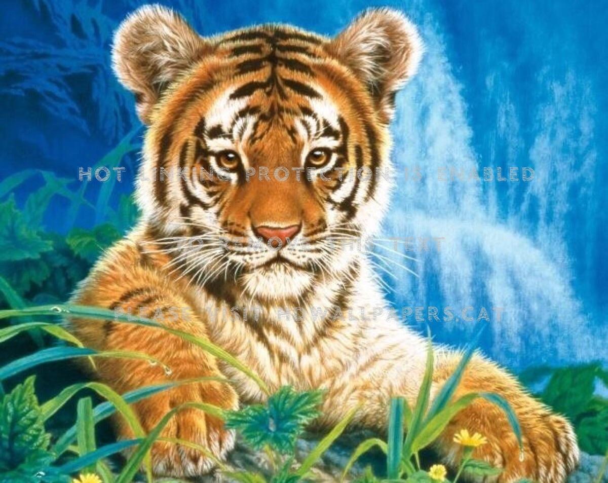 young tiger fantasy animal grass waterfall