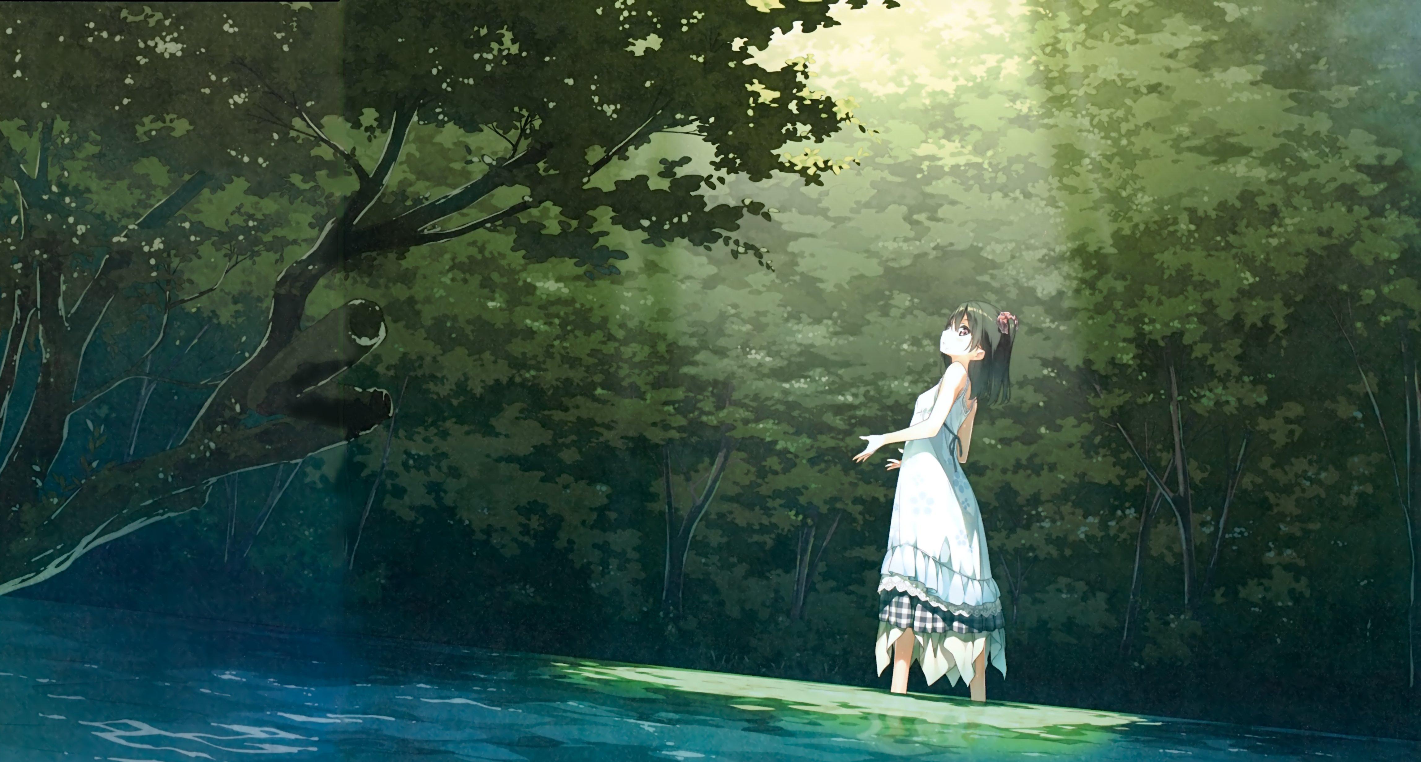 4592x2463 anime, forest, girl, sunshine. Other. Tokkoro