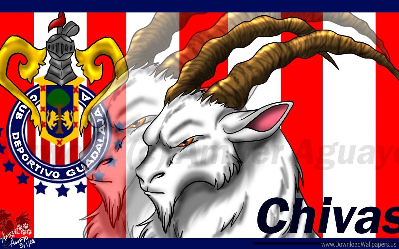 Download Widescreen 16:10 1280x800