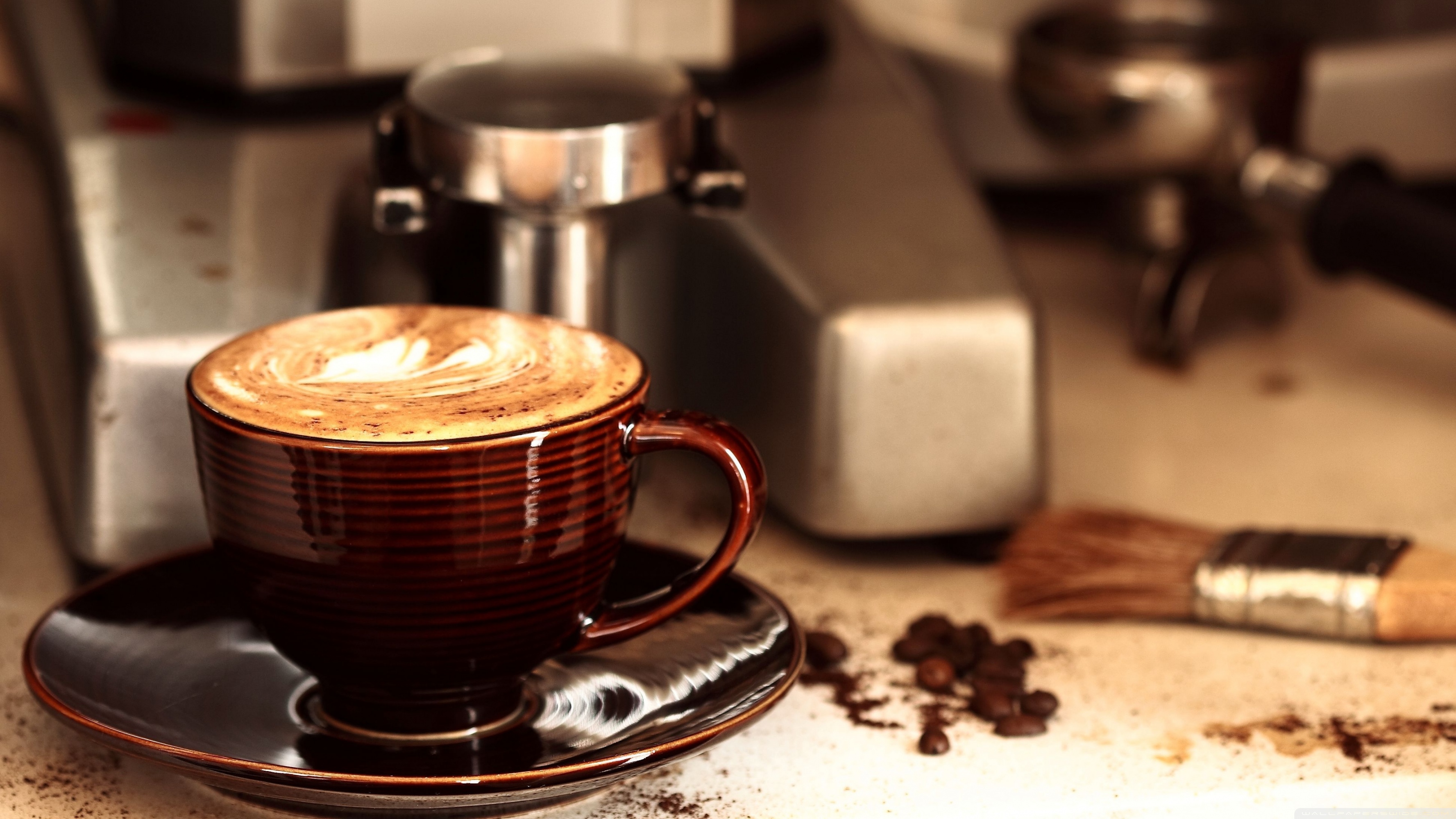 Cappuccino HD Wallpaper, Background Image