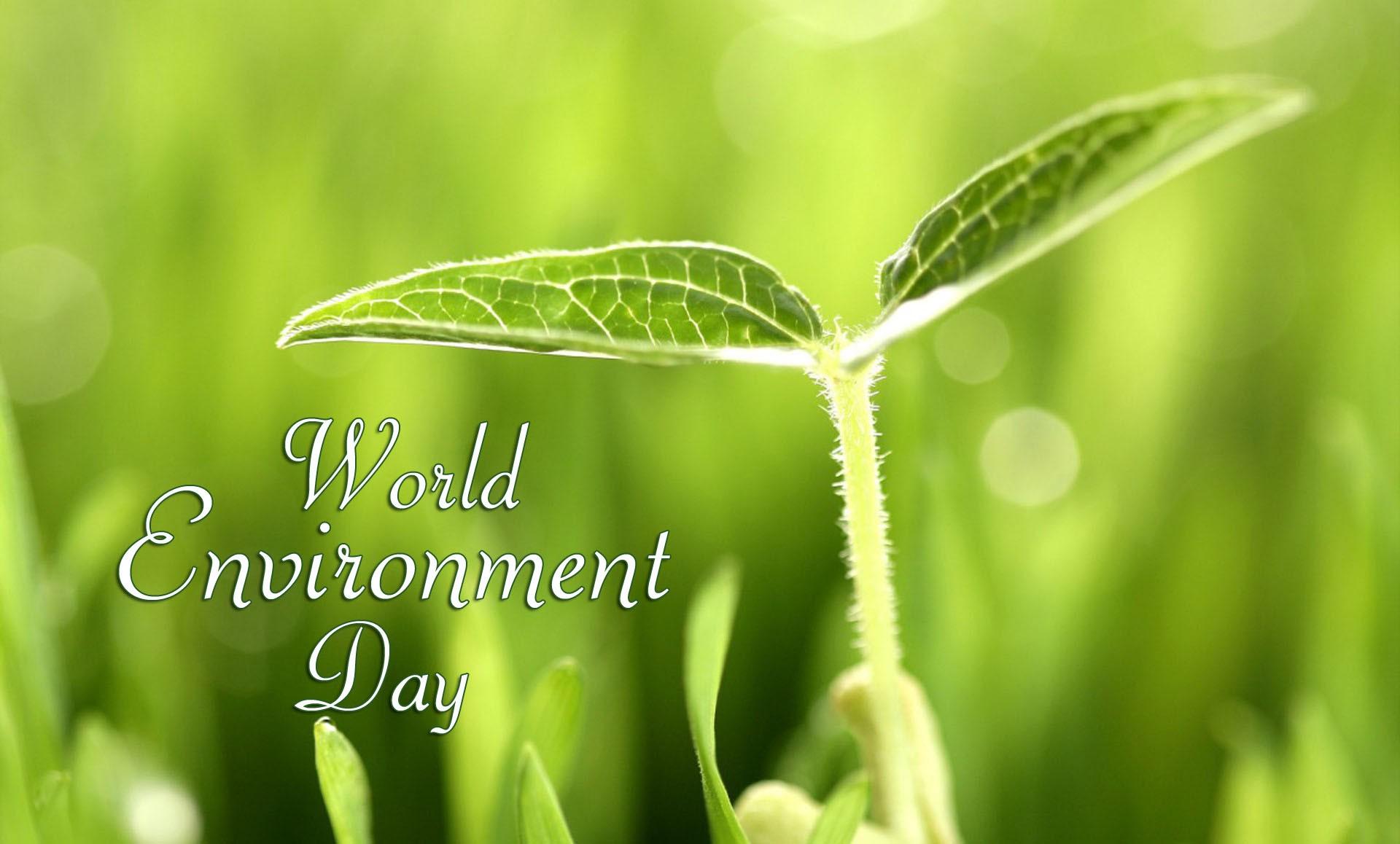 World Environment Day Image, Wallpaper, Banners & Photo