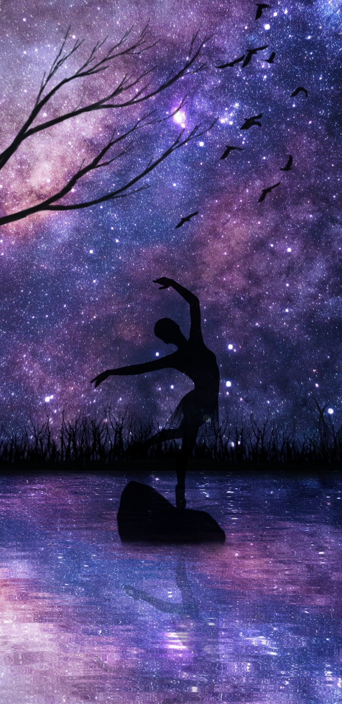 Download 1440x2960 wallpaper starry night, girl dance, silhouette