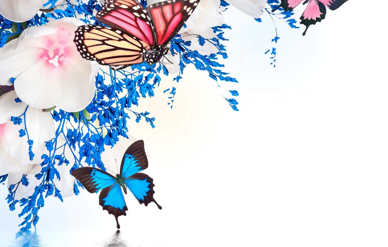 Wallpaper water, butterfly, reflection, spring, tulips