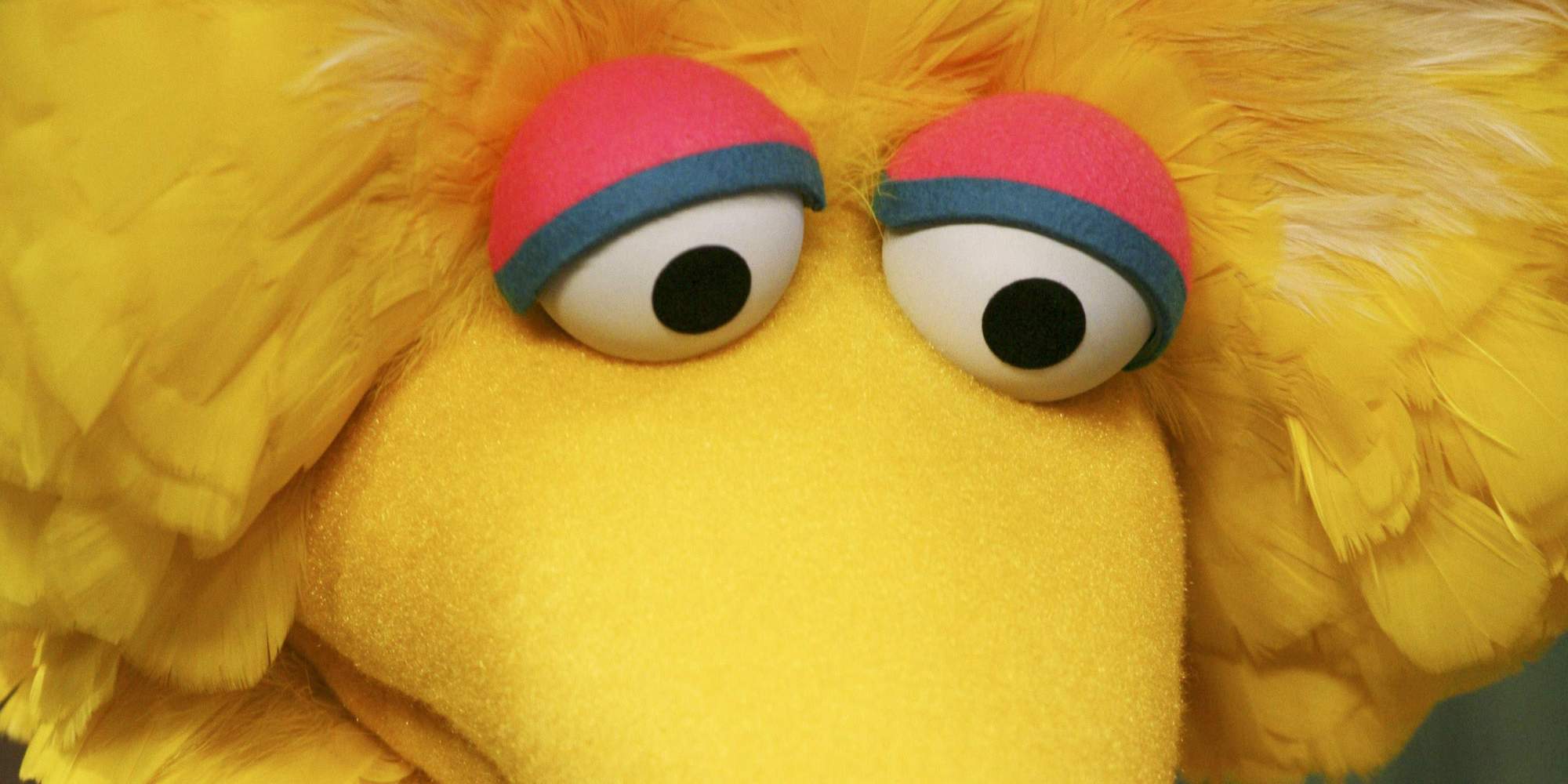 Big Bird, Kevin, Bill, Kevin, Bird Wallpaper and 2000x1000