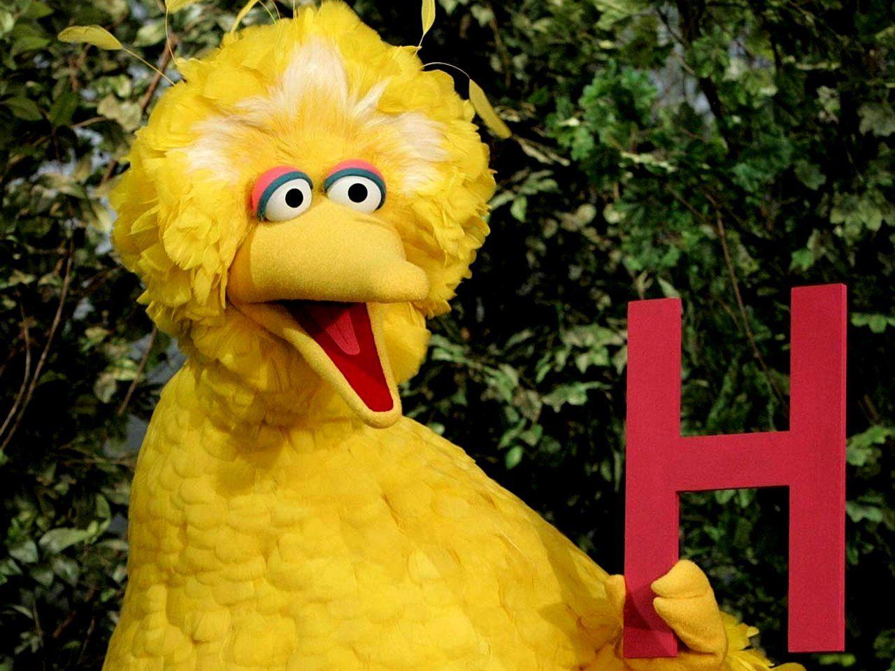 big bird. The Muppets Big Bird Wallpaper. Kids Wallpaper Gallery