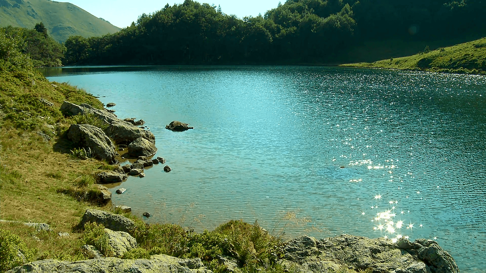 Beautiful view of the Pesica Lake in the national park Biogradska Gora on the mountain Bjelasica, Montenegro Stock Video Footage