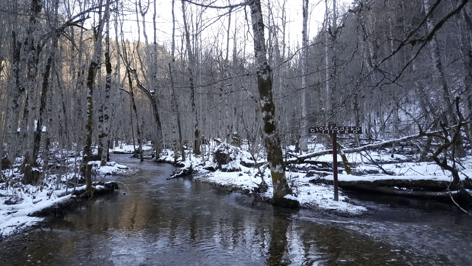 Small river with snow in Biogradska Gora a forest and a national park in Montenegro Stock Video Footage