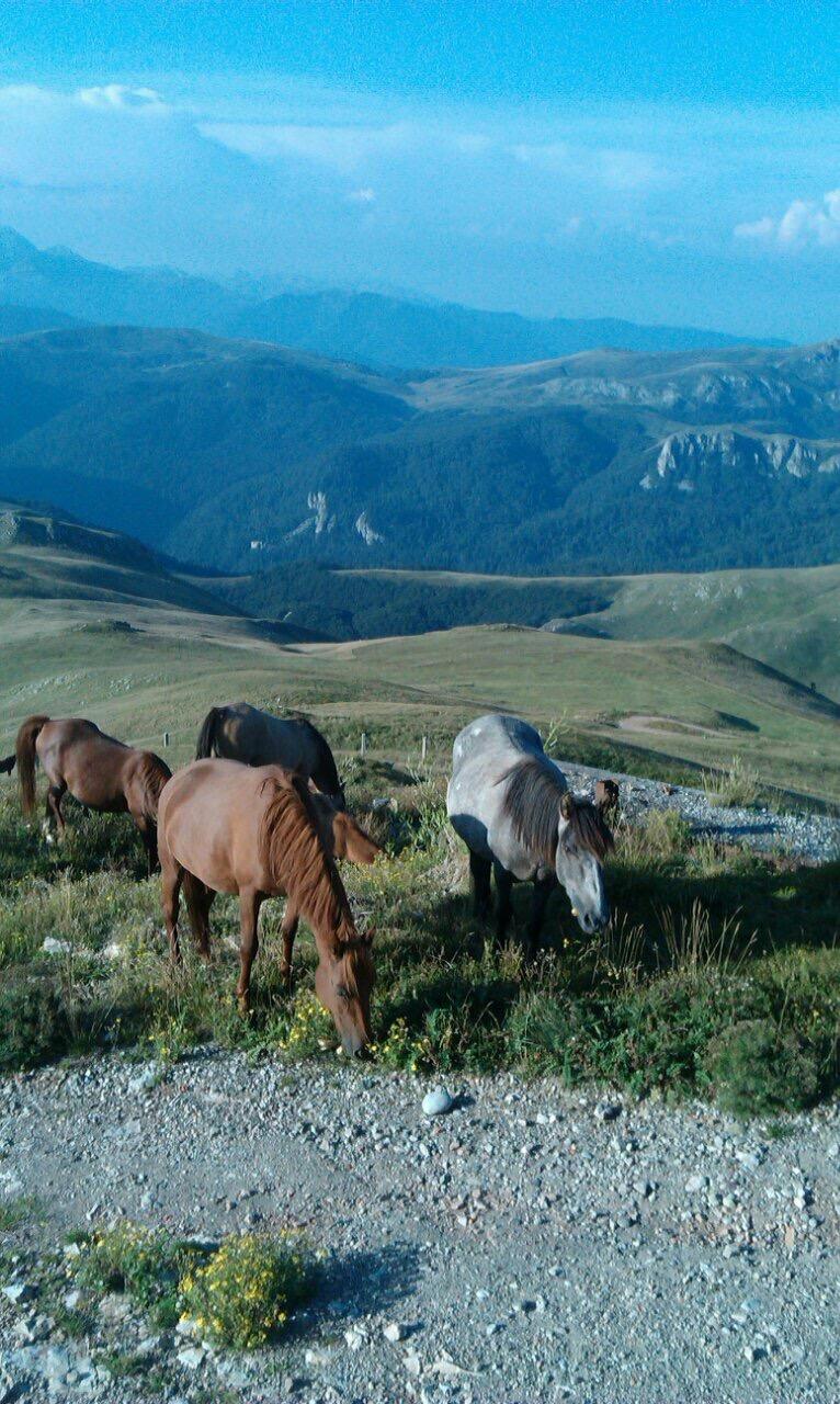 NACIONALNI PARK BIOGRADSKA GORA. Holiday In Montenegro