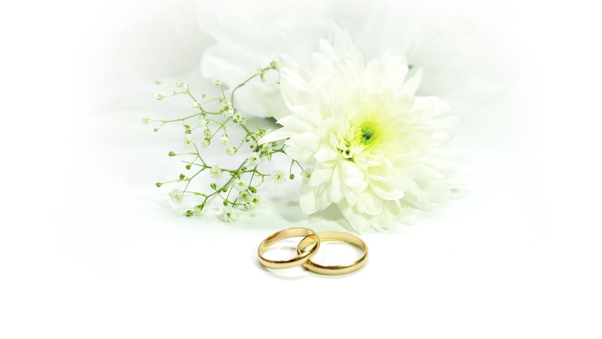 Wedding Rings With White Background Wallpaper