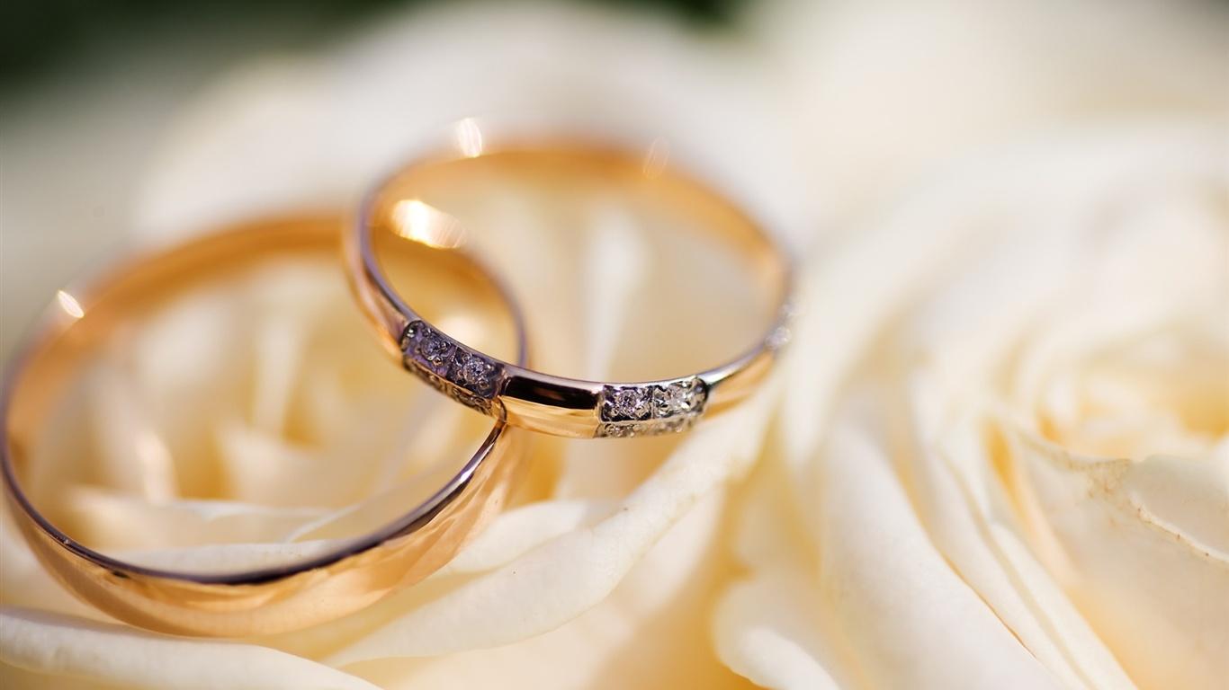 Wallpaper Wedding rings 1920x1200 HD Picture, Image