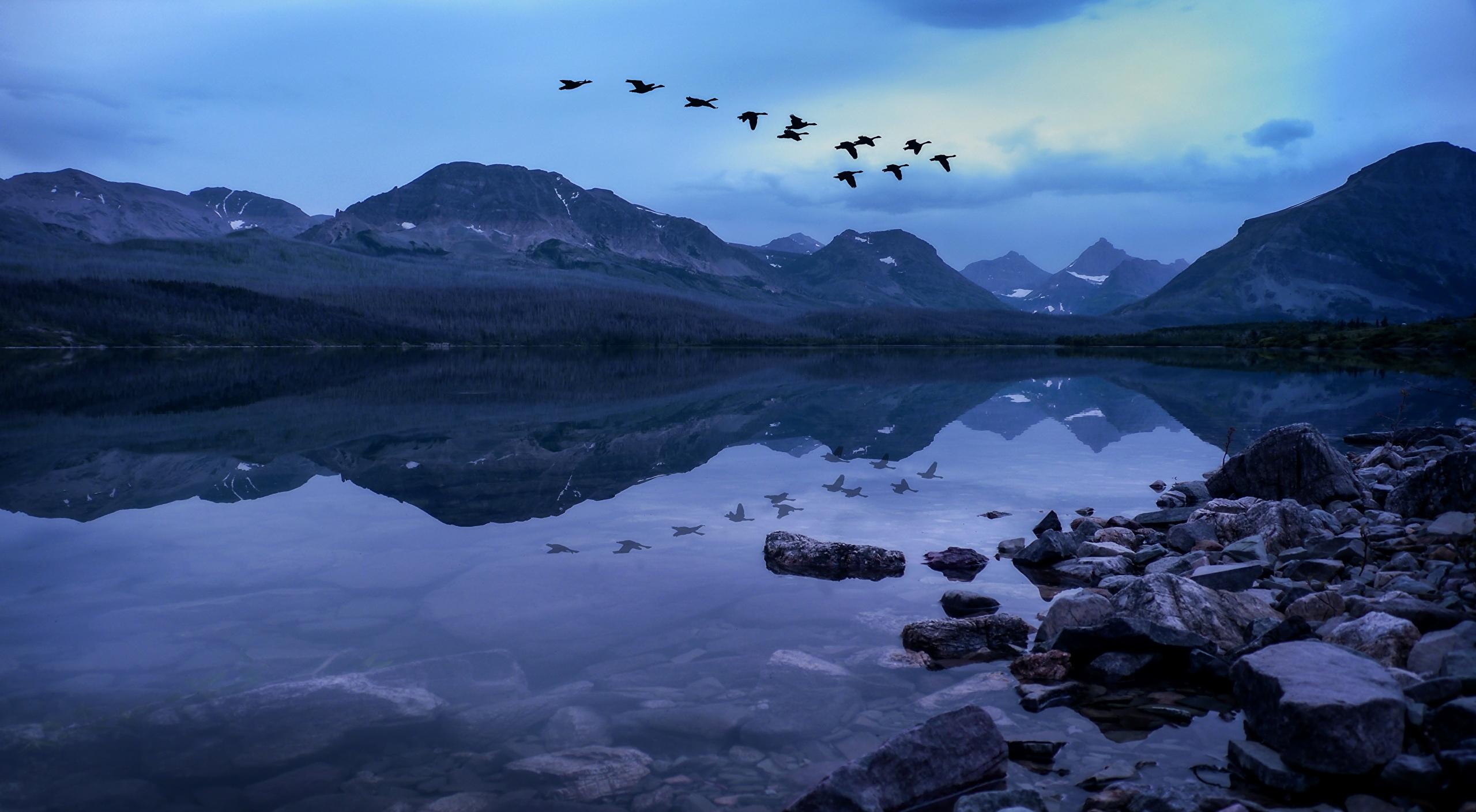 Birds Mountains Stones Evening Lake, HD Nature, 4k Wallpaper