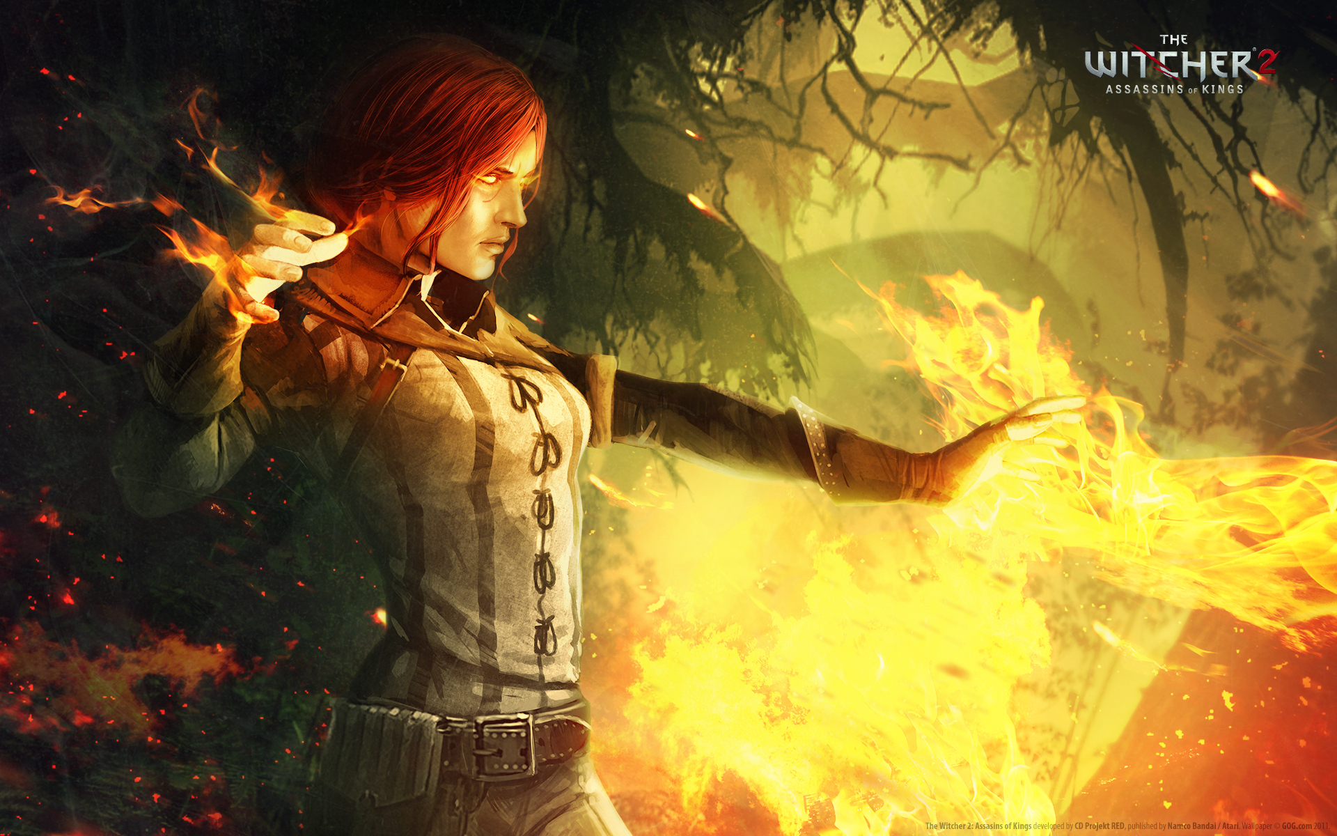 fantasy, video games, digital art, The Witcher 2, Triss Merigold