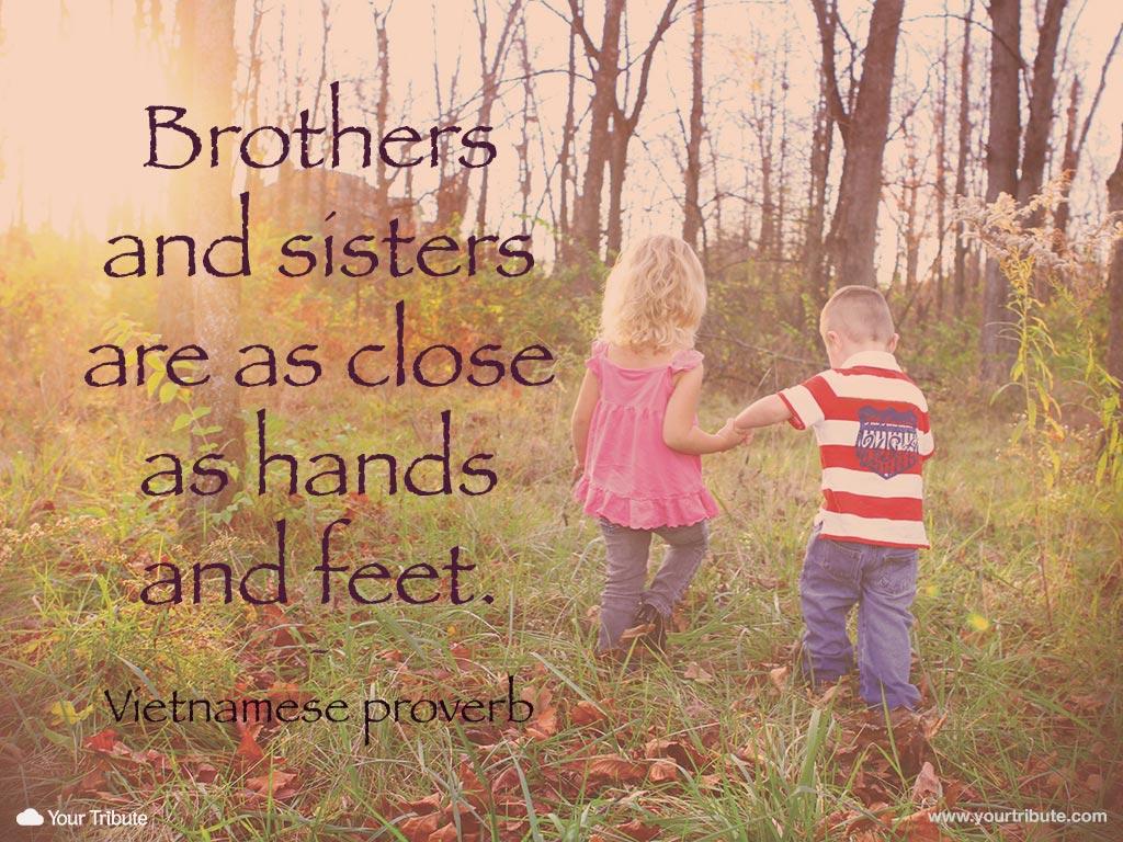Quotes about Close brother and sister (57 quotes)