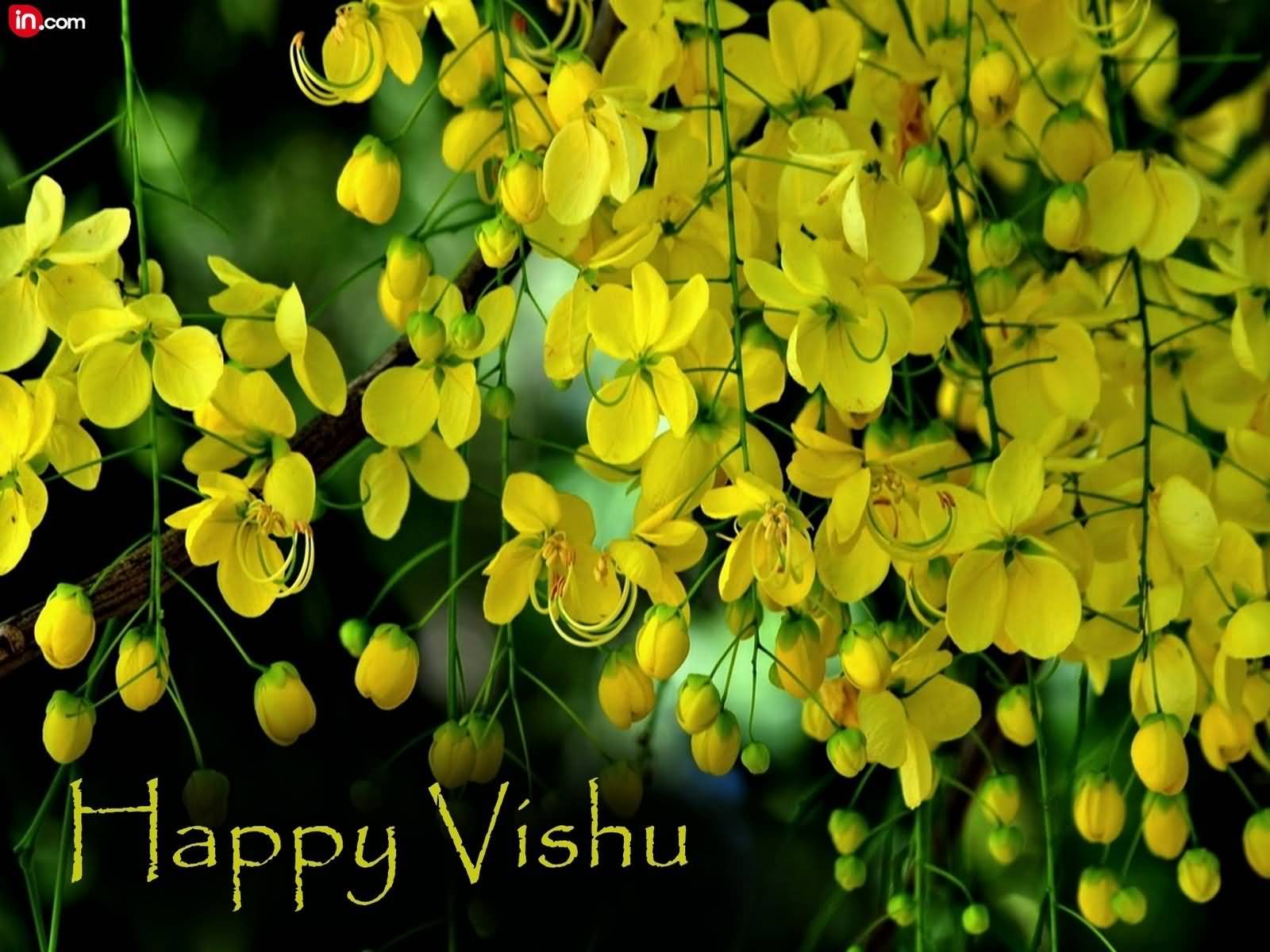 Vishu Greeting Card Vishu Greetings Vishu Festival Vishu Celebration