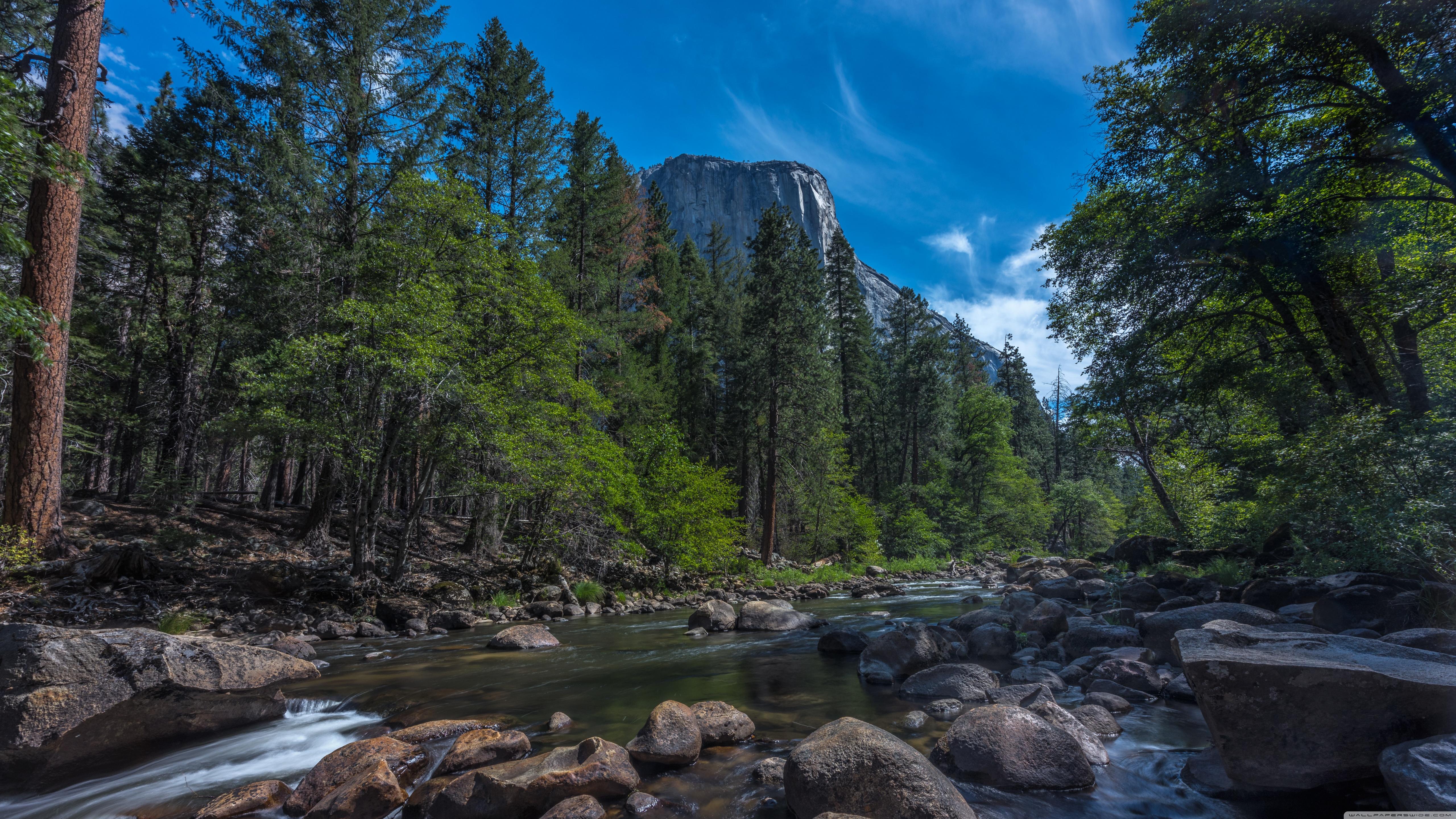 Merced River, El Capitan, Yosemite National Park, California ❤ 4K