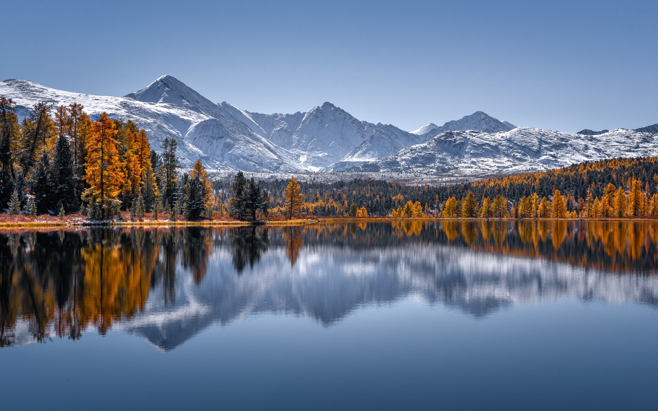 Wallpaper Russia, The Altai Mountains, lake, water reflection, trees