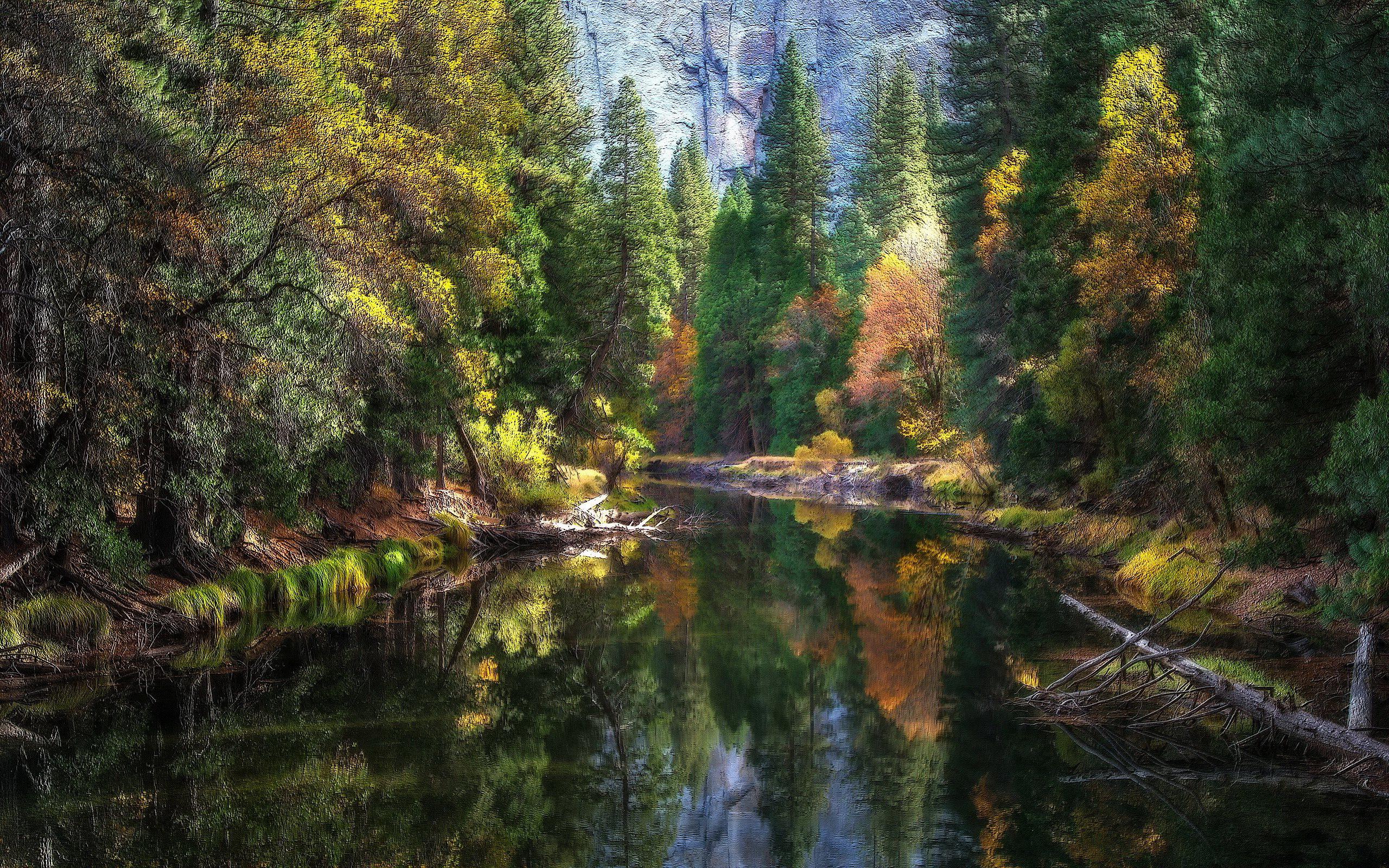 Merced River (Yosemite National Park) / 2560 x 1600 / Nature