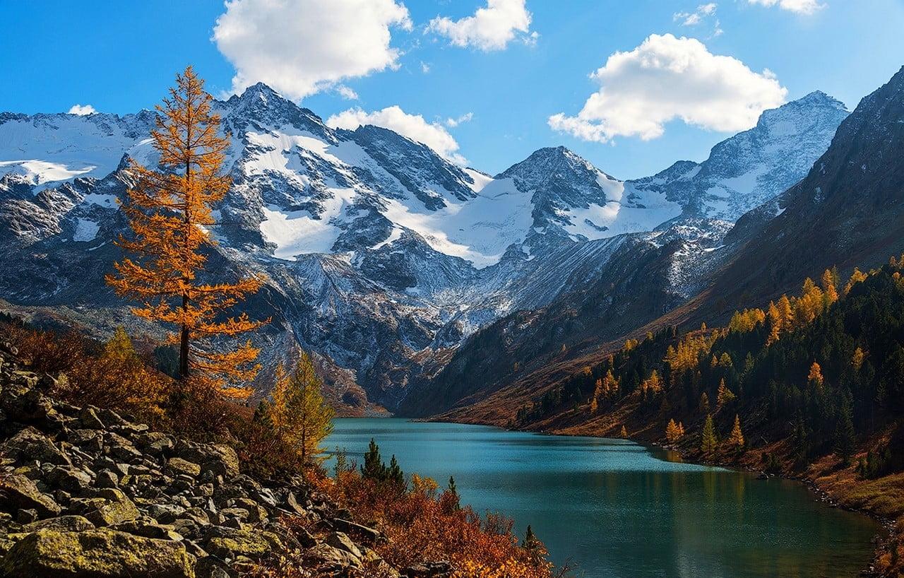 Горный алтай фото природы лето