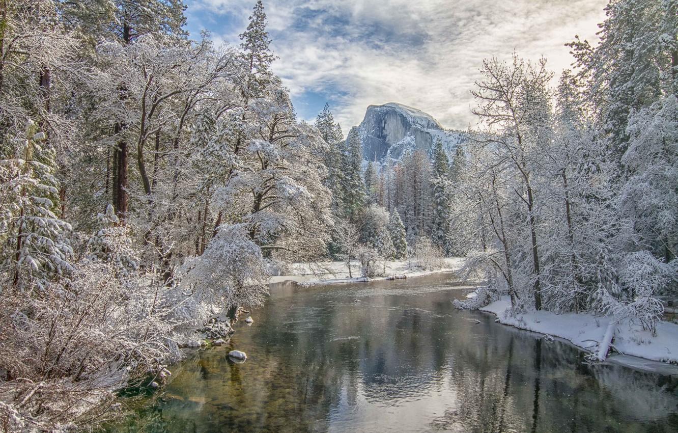 Wallpaper winter, forest, trees, mountains, river, valley, CA