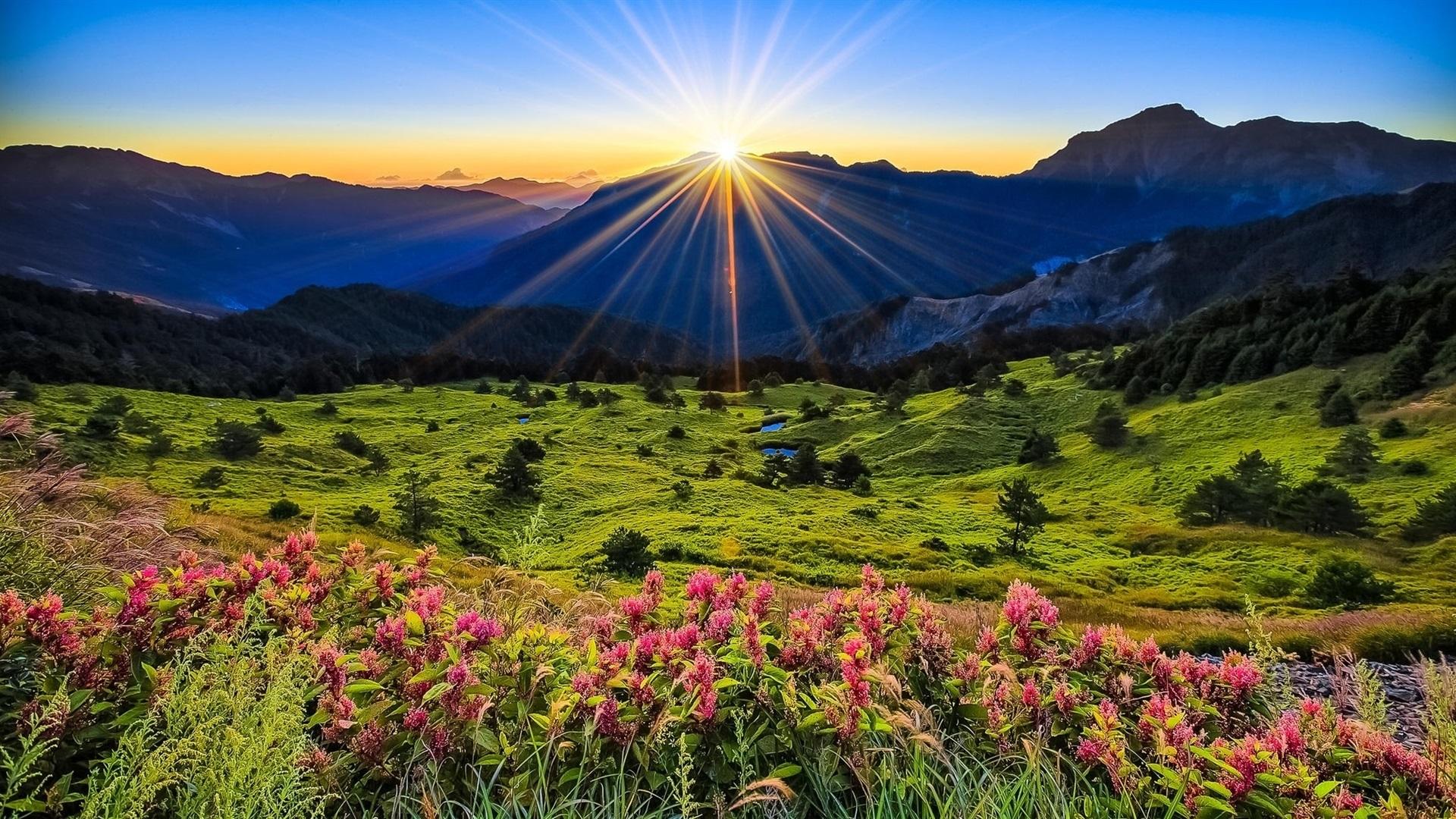 Wallpaper Mountains, meadow, sunrise, flowers, beautiful scenery
