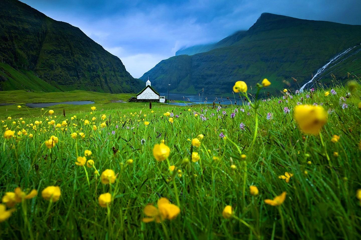 Faroe Islands Beautiful Meadow Grass Sky Summer Wilsdflowers