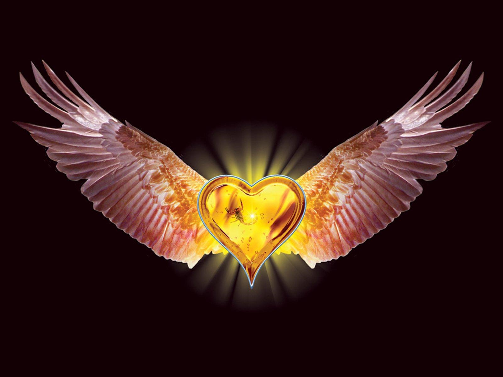 Heart with Wings Wallpaper and Background Imagex1200