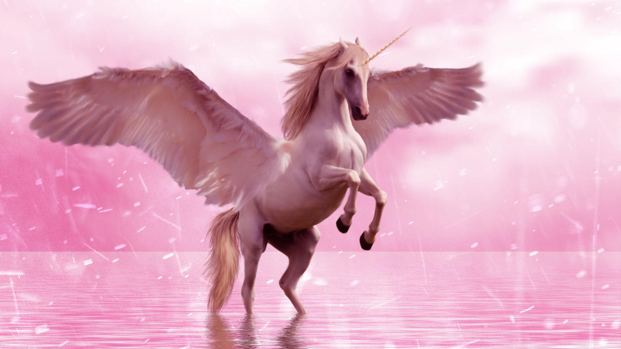 Download wallpaper 2048x1152 unicorn, wings, horse, fantasy