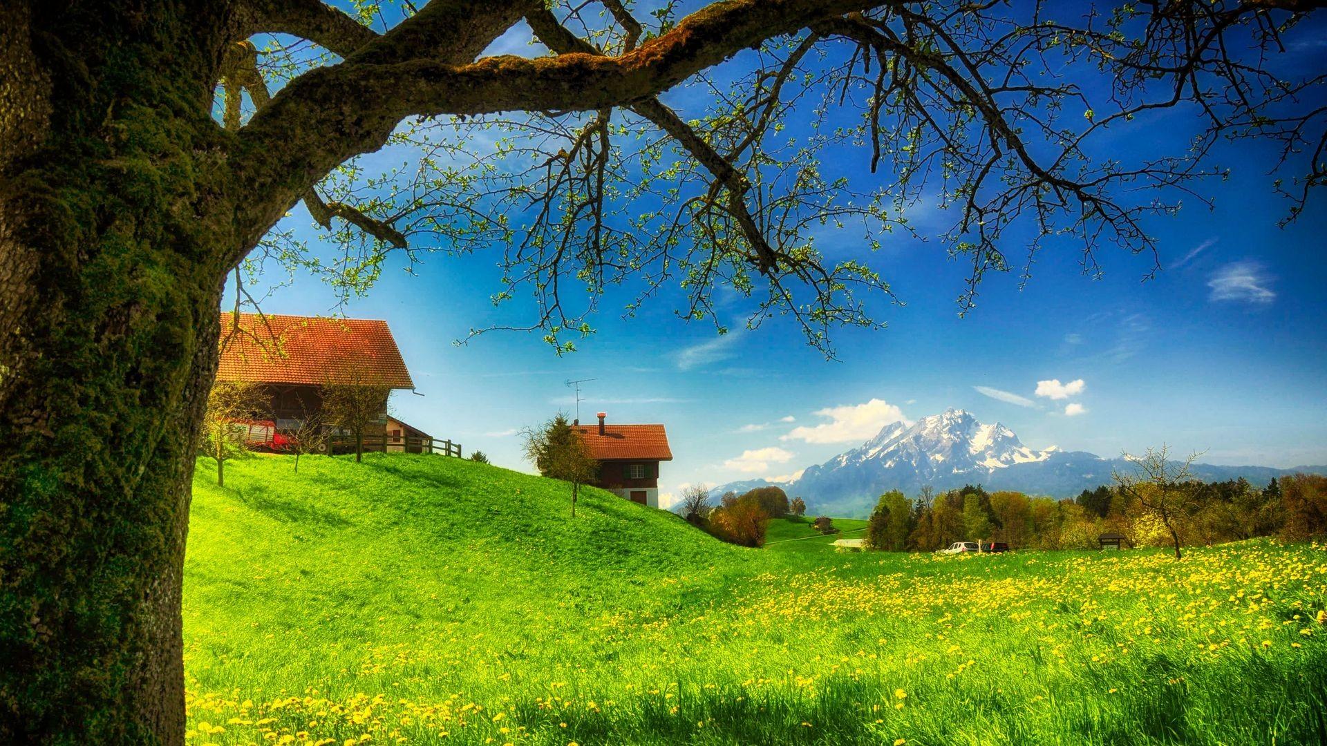Houses: Village Beautiful Meadow Spring Grass Mountains Trees