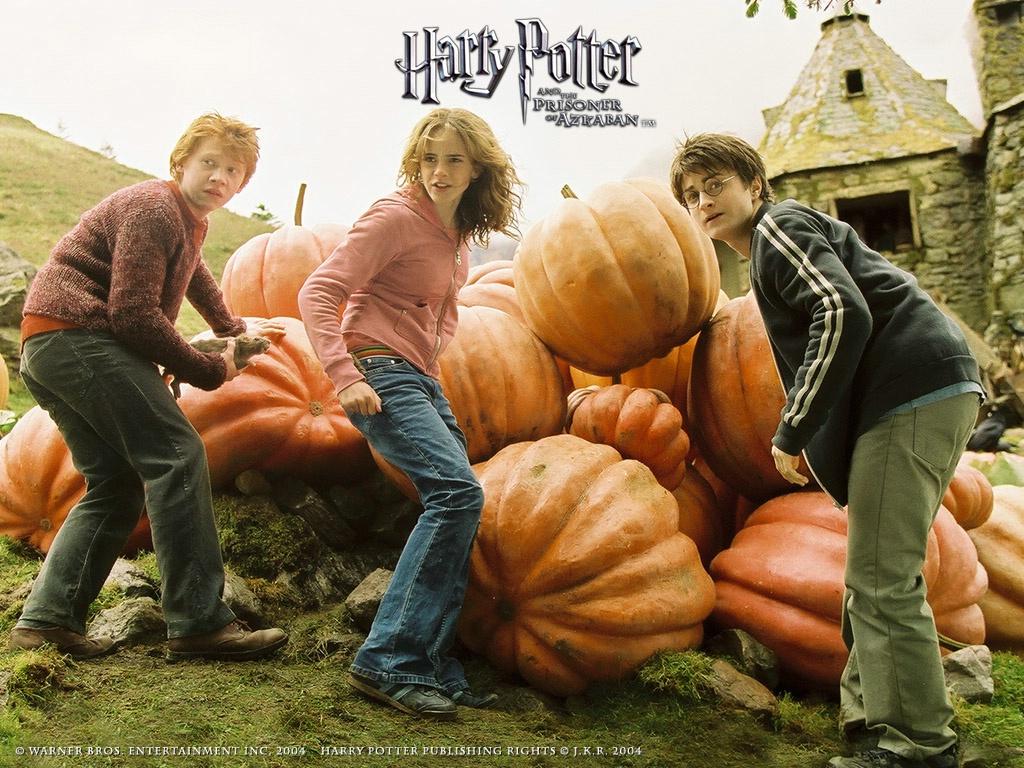Harry Potter and the Prisoner of Azkaban Wallpaper Logo