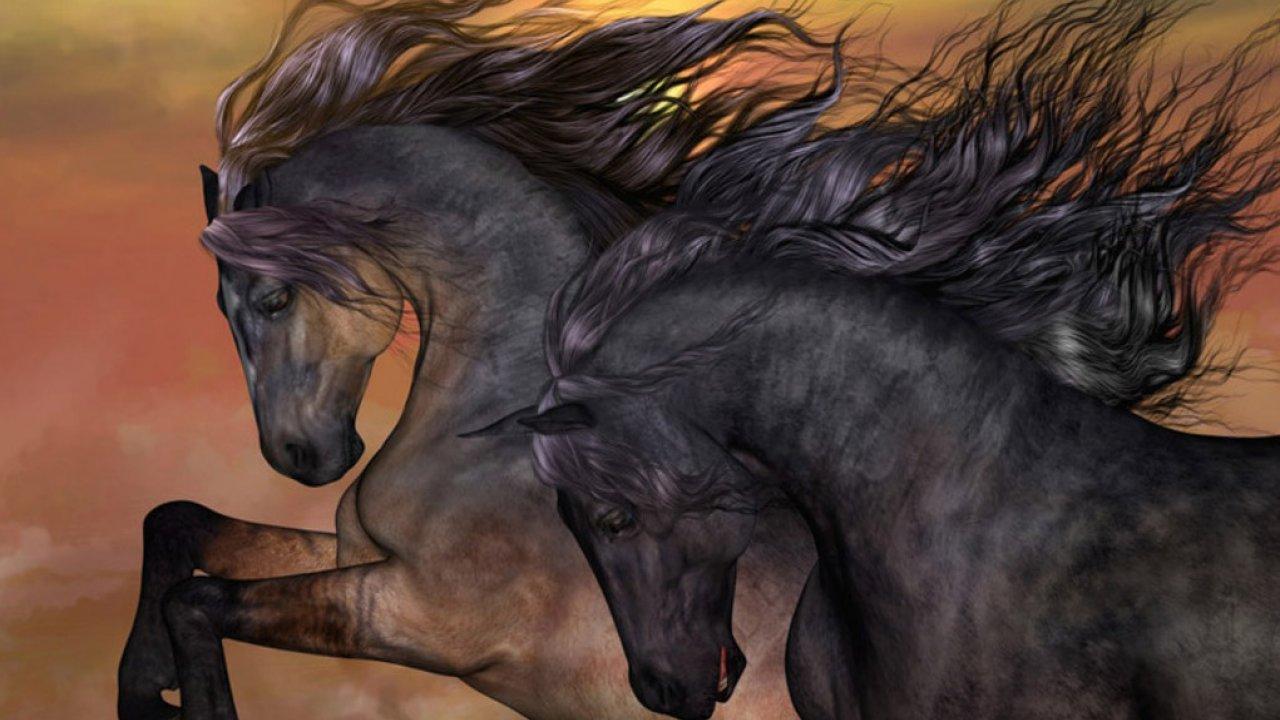 Mare Animal Wallpapers - Wallpaper Cave