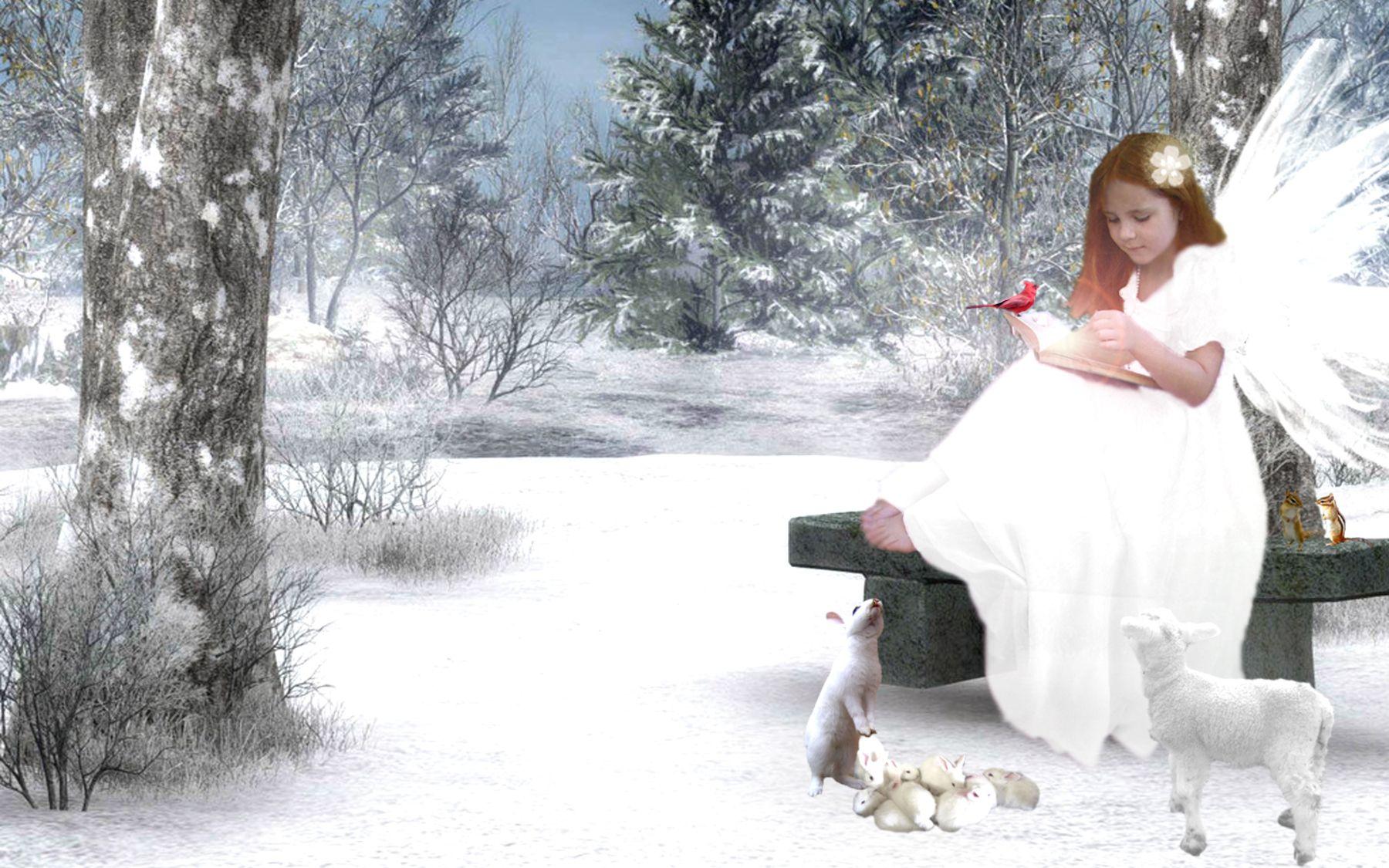 Fantasy Wallpaper. Angels. Angel wallpaper