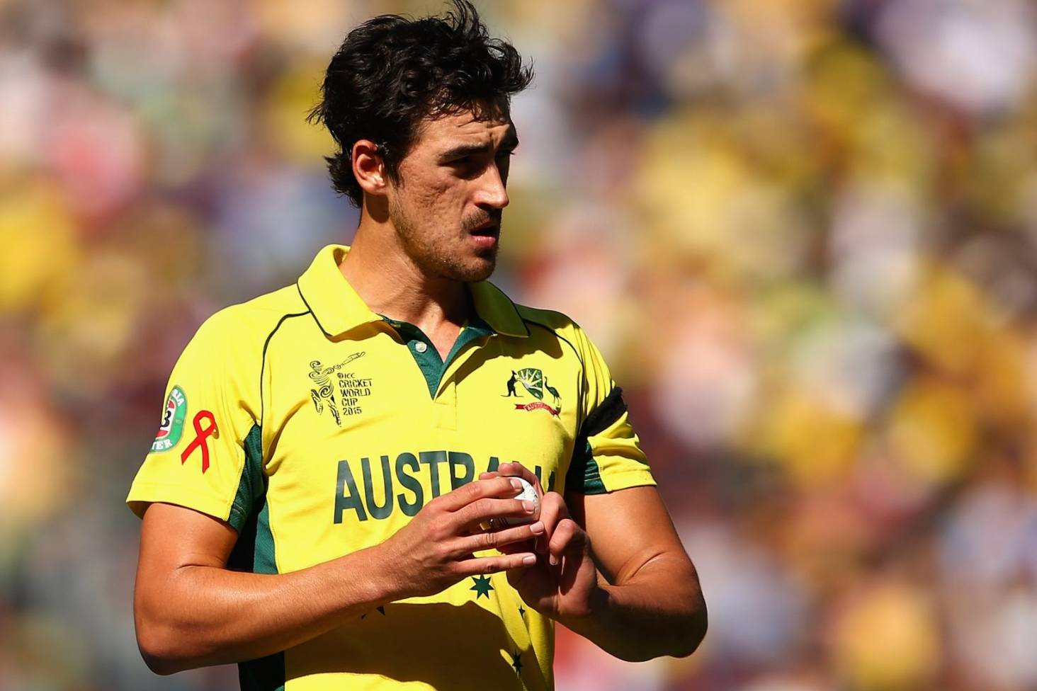 Australia fast bowler Mitchell Starc named player of the Cricket