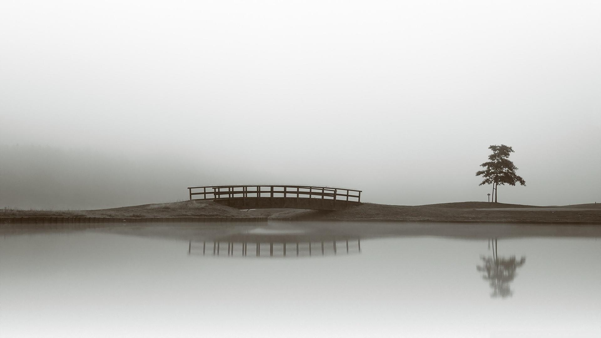 Calm Water, Bridge, Tree Reflection ❤ 4K HD Desktop Wallpaper