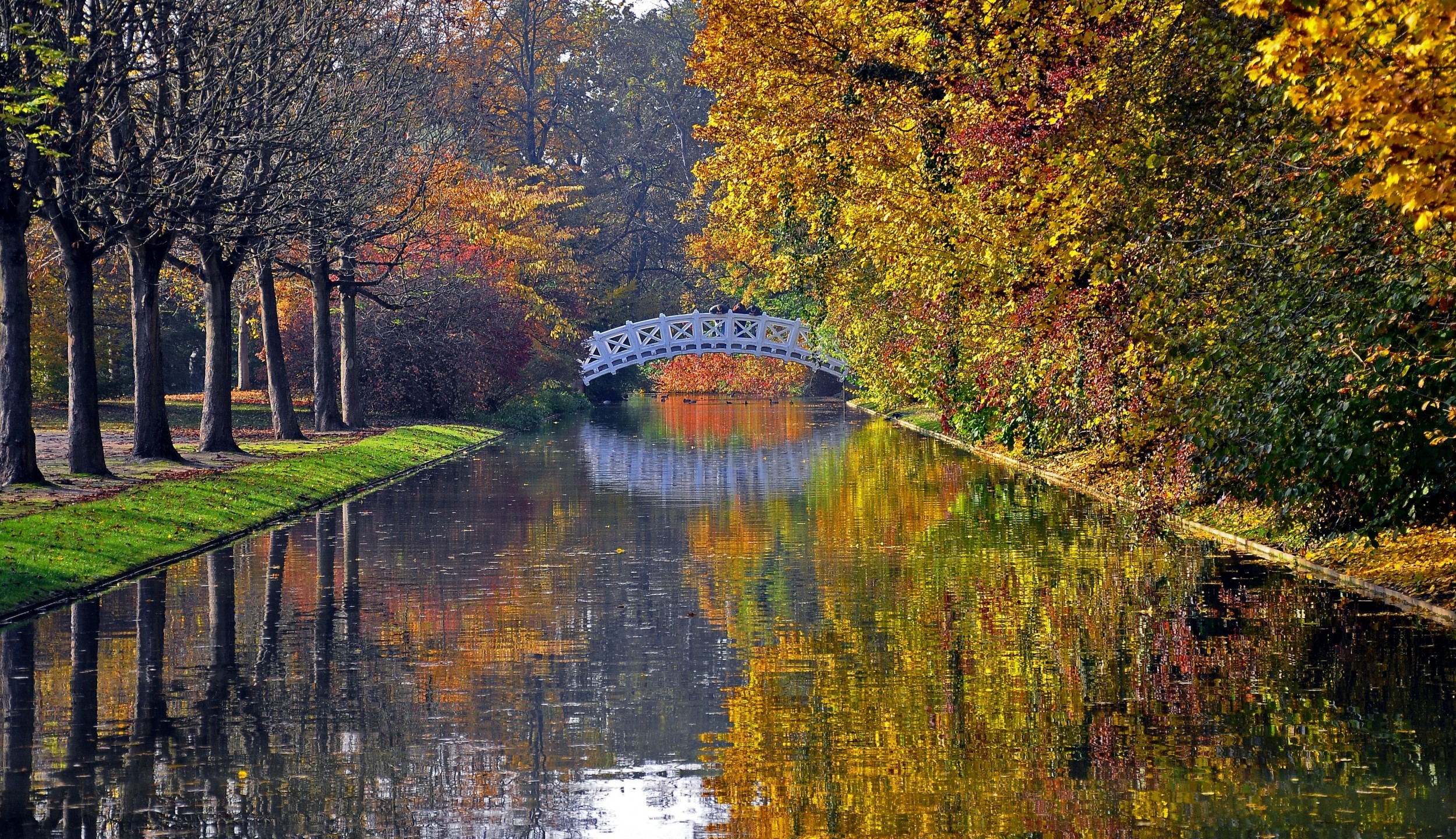 Download 2500x1440 River, Bridge, Autumn, Trees, Reflection