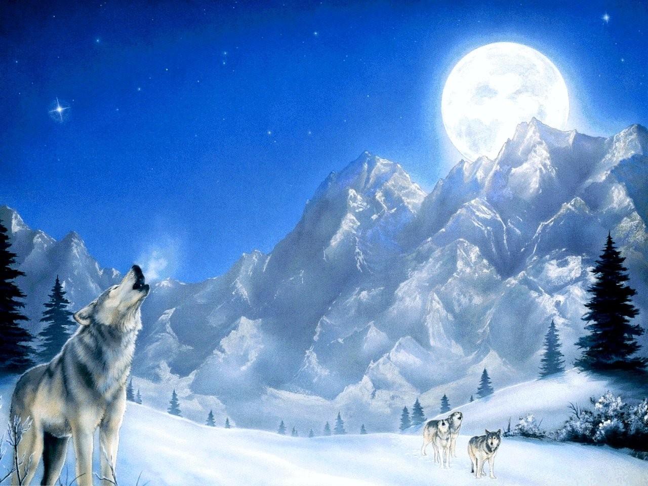 Group of Moon Snow Wallpaper