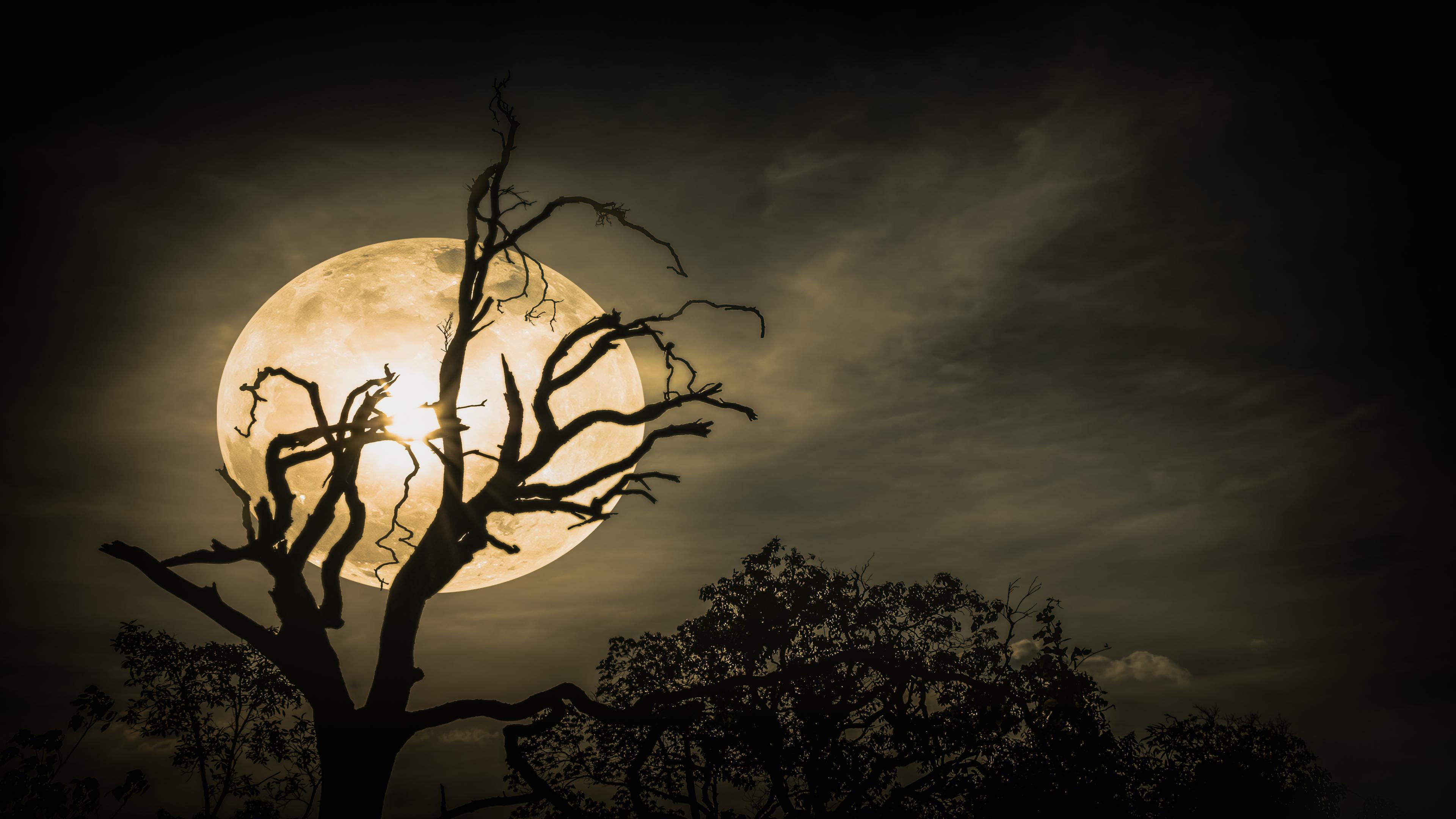 Night landscape of sky with the bright super moon behind