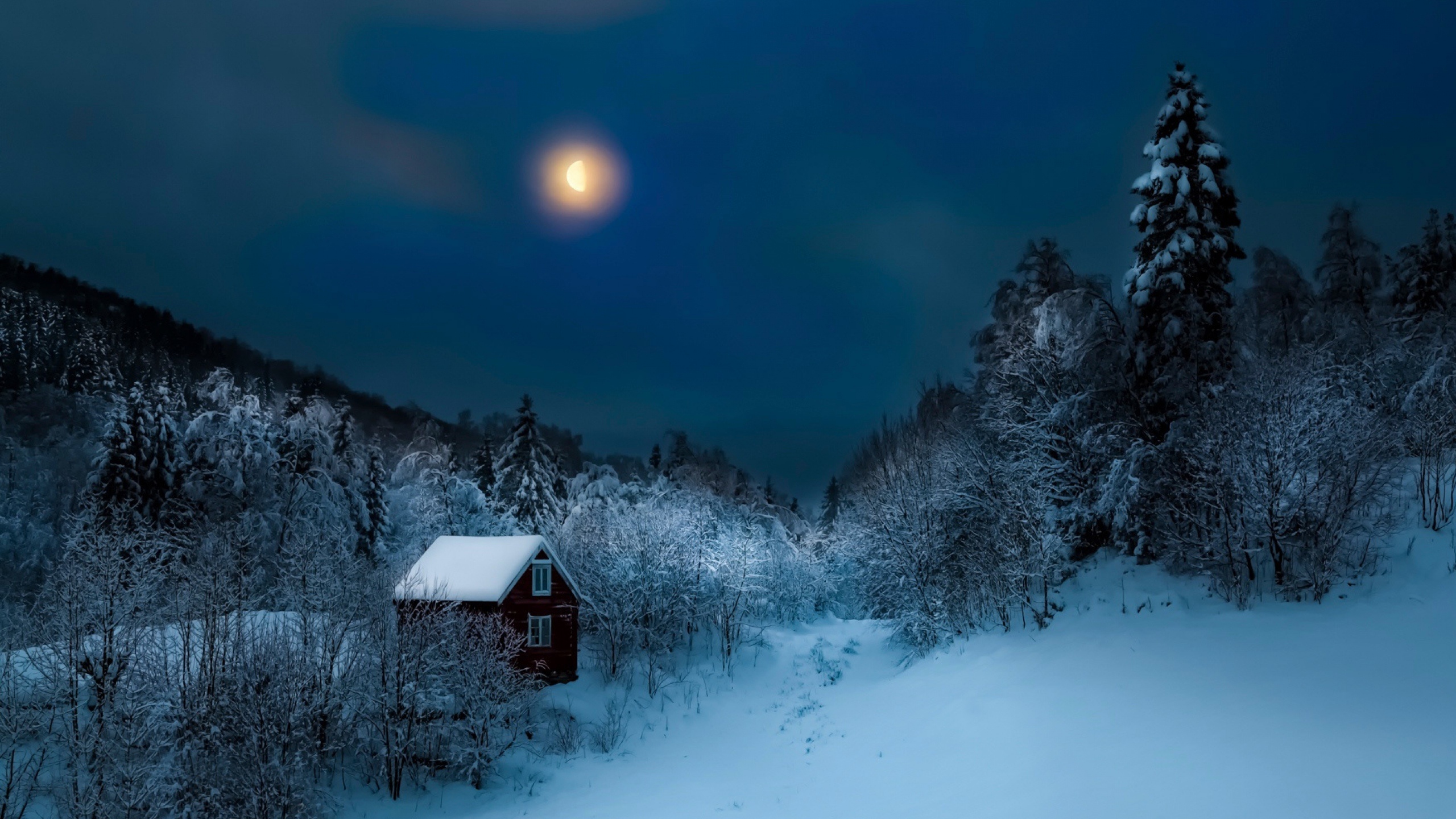 Winter, Snow, Harvest Moon, Nature, Atmosphere HD Wallpaper, Nature