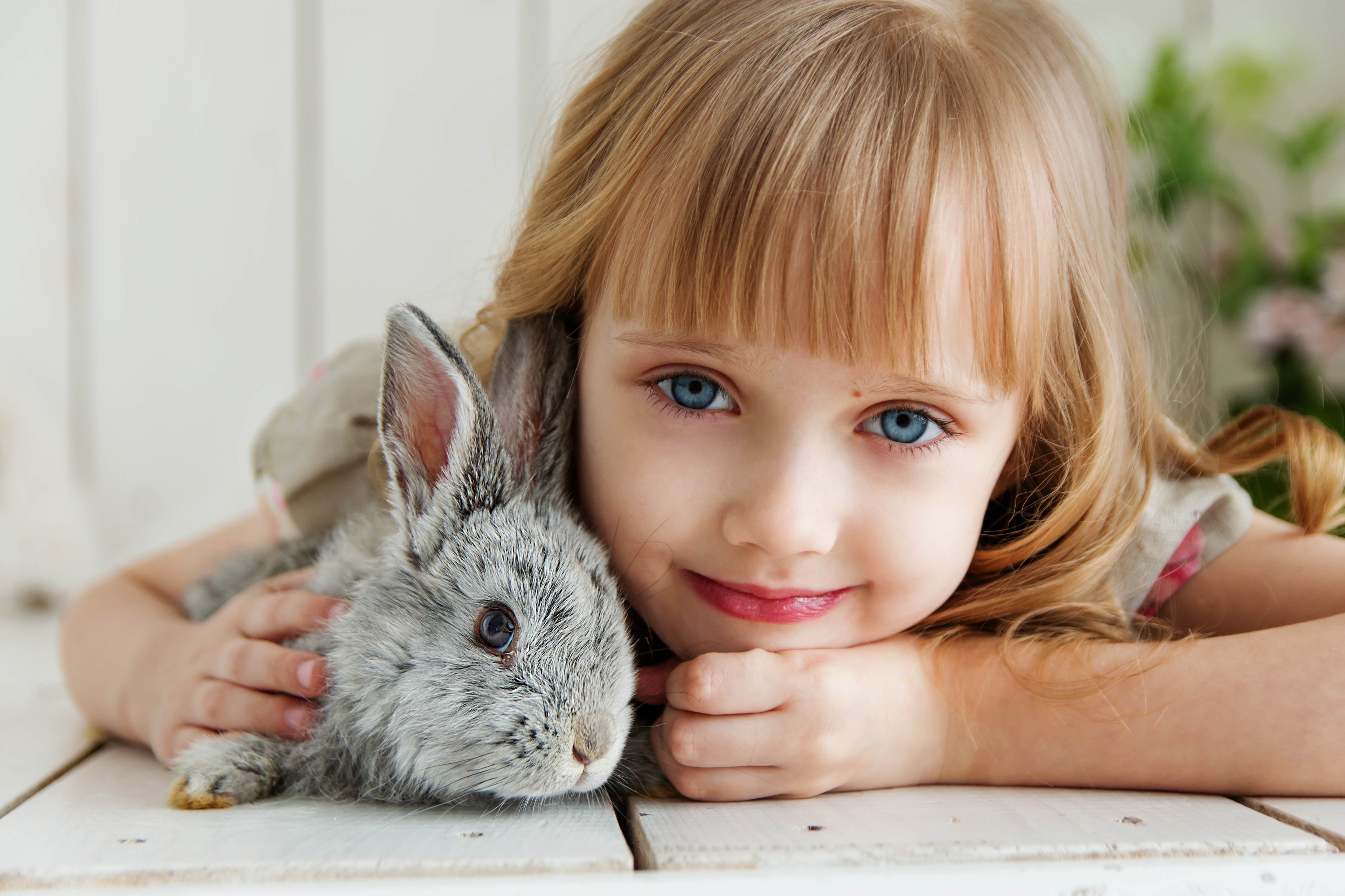 Cute Baby Image - (2019 Updated). Cute Baby Blog