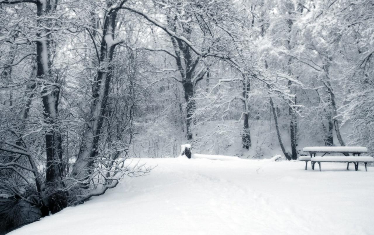 Winter Forest & Road wallpaper. Winter Forest & Road