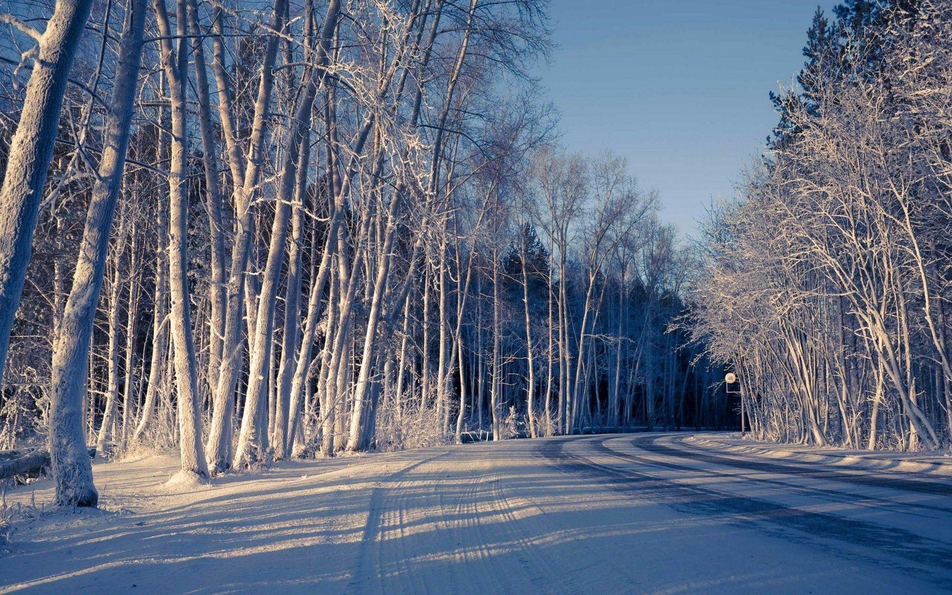 Road curve through winter forest. Winter Wonderland. Nature image