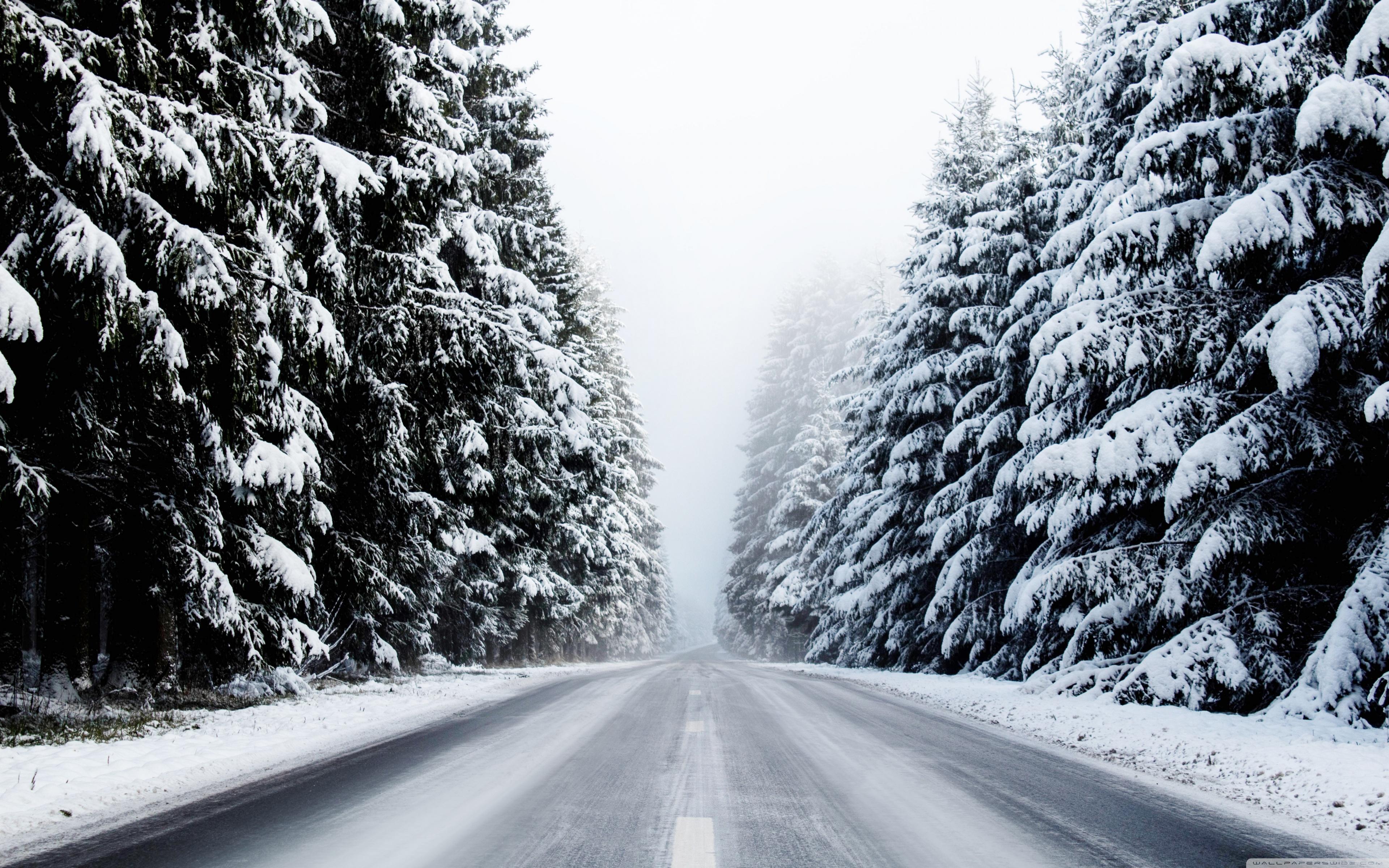 Forest Road in Winter ❤ 4K HD Desktop Wallpaper for 4K Ultra HD TV