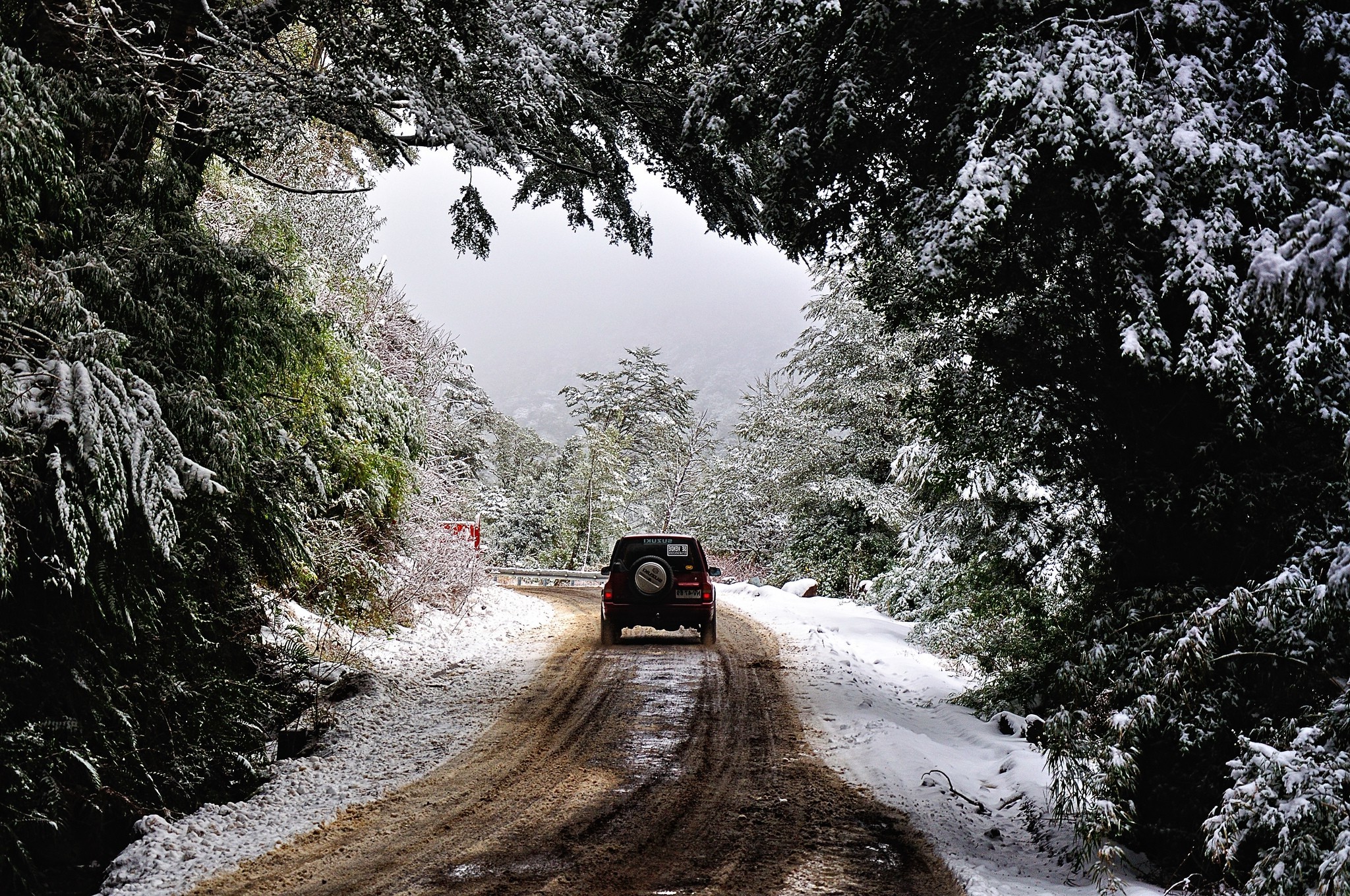 nature landscape photography winter forest dirt road snow