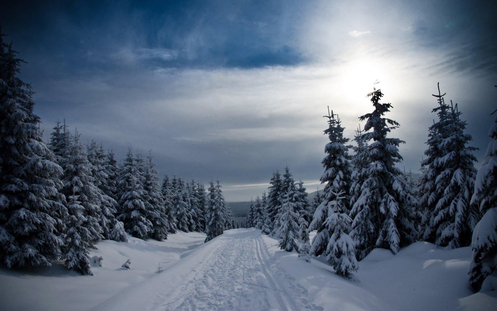 Full HD Picture Awesome Winter Road 328.43 KB