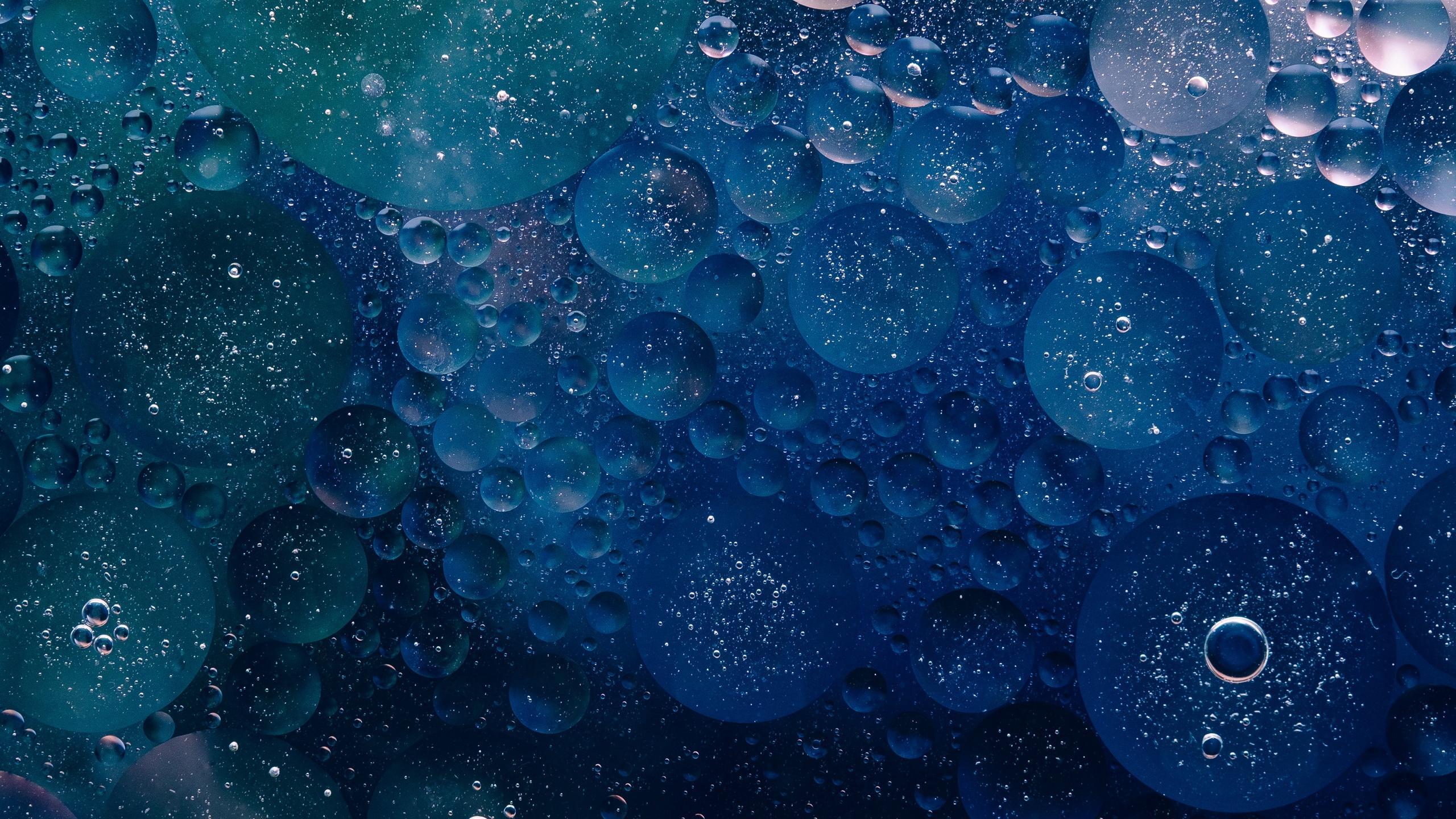 Download wallpaper 2560x1440 circles, bubbles, blue, texture